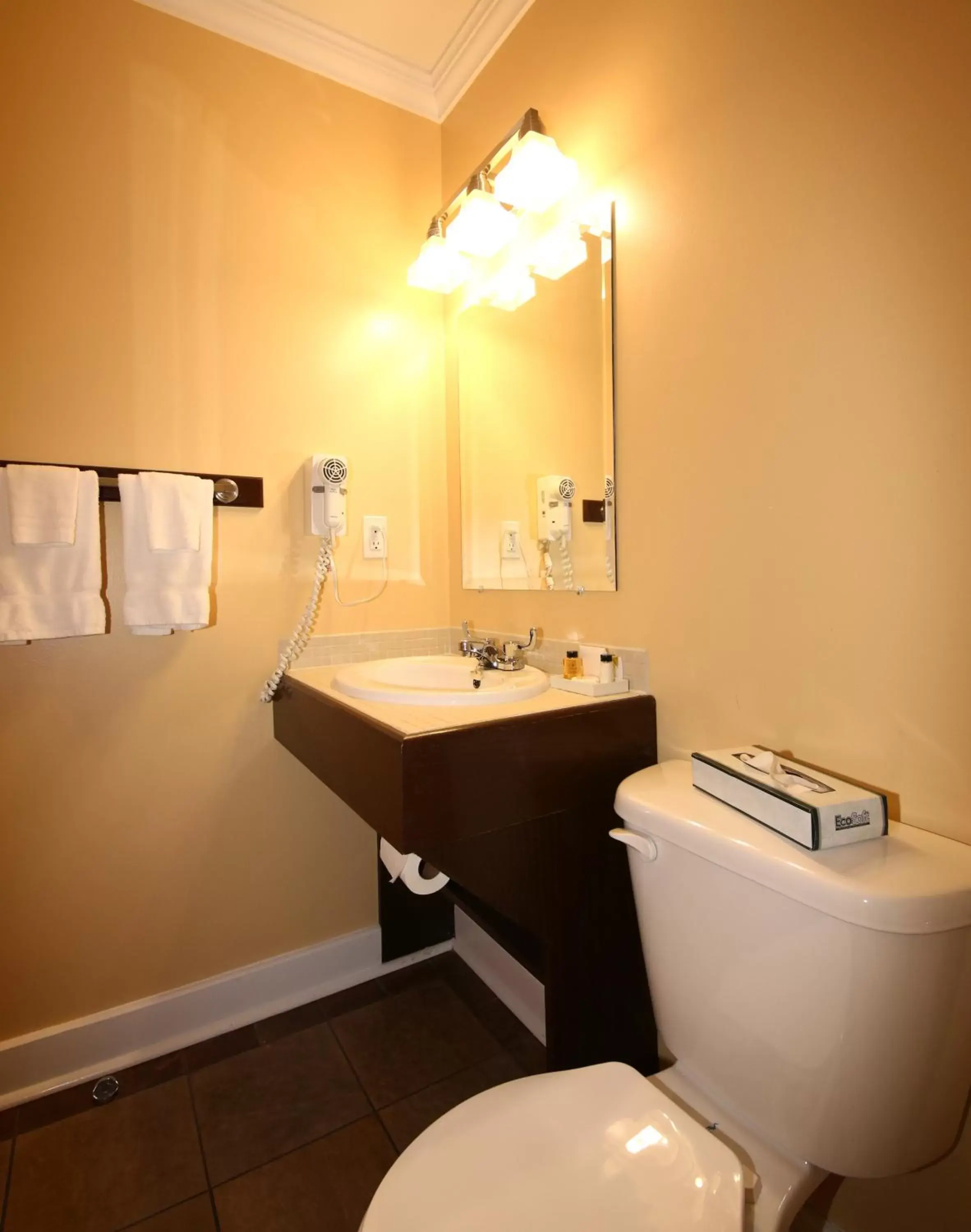 Bathroom in Grenfell Heritage Hotel & Suites