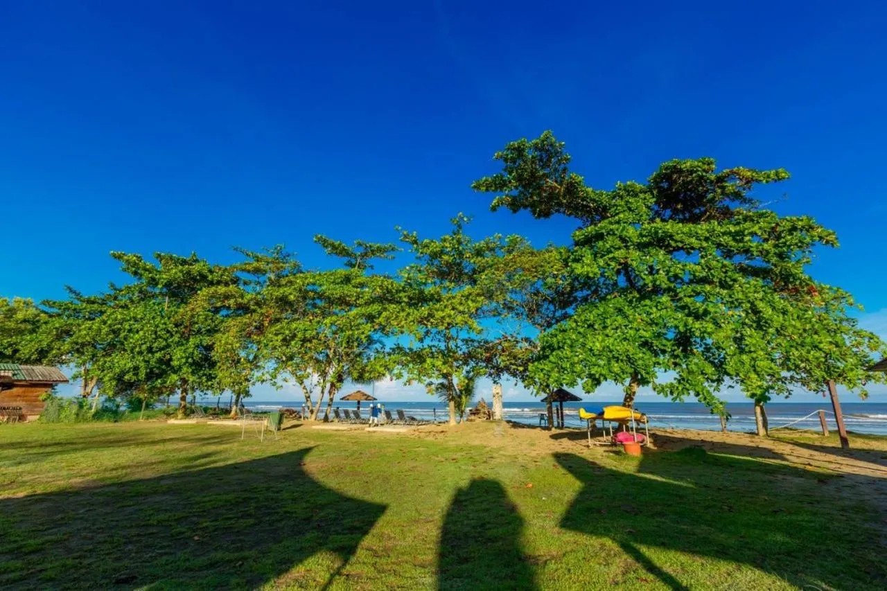 Beach in Beringgis Beach Resort & Spa