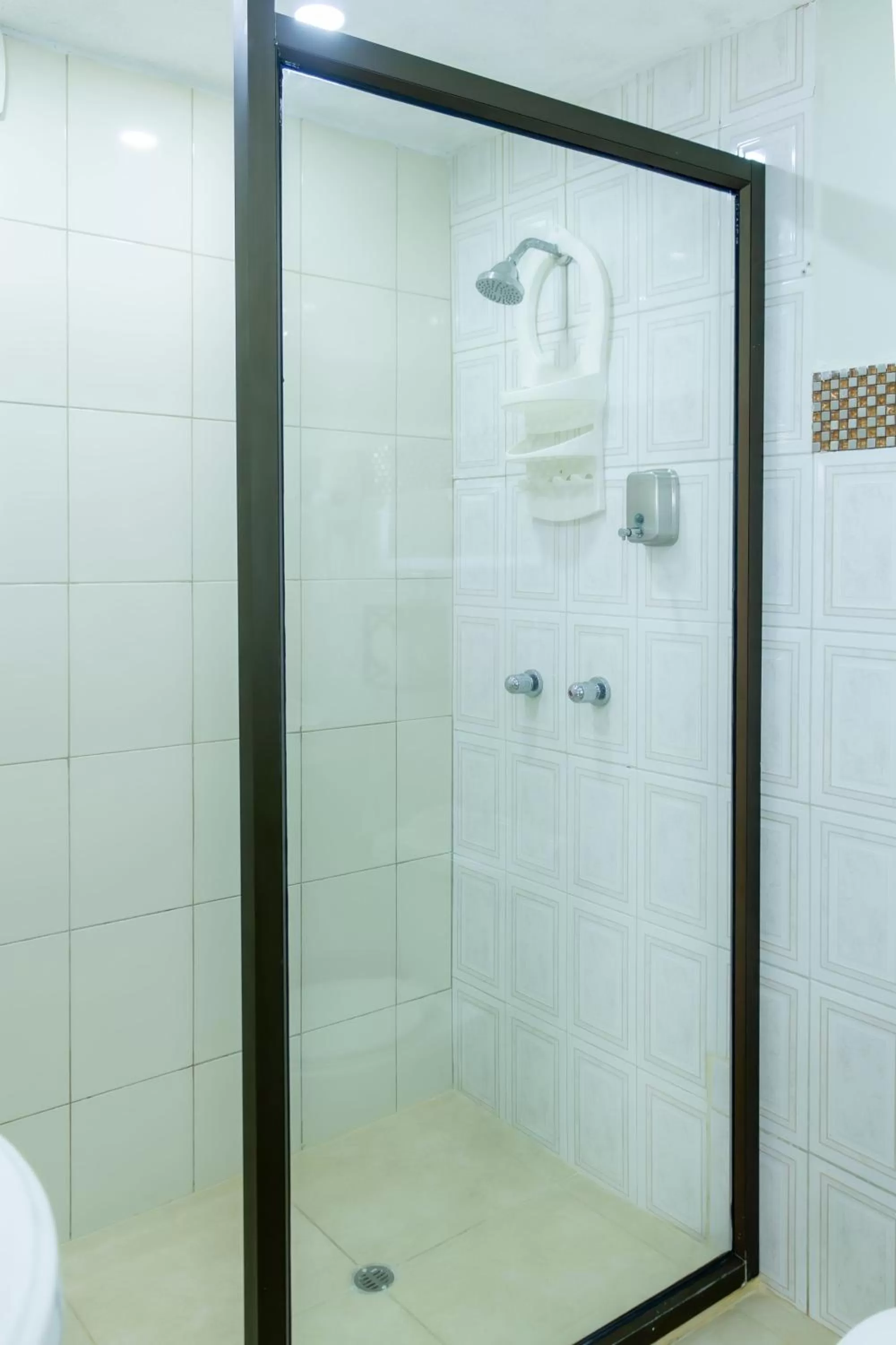 Shower in Hostal Antares