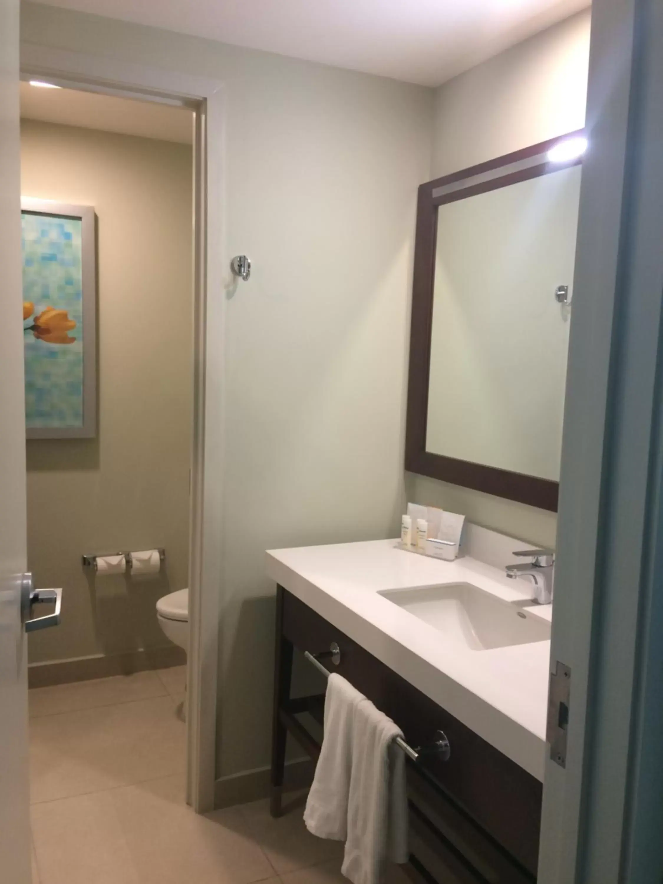 Bathroom in Hampton Inn by Hilton Villahermosa