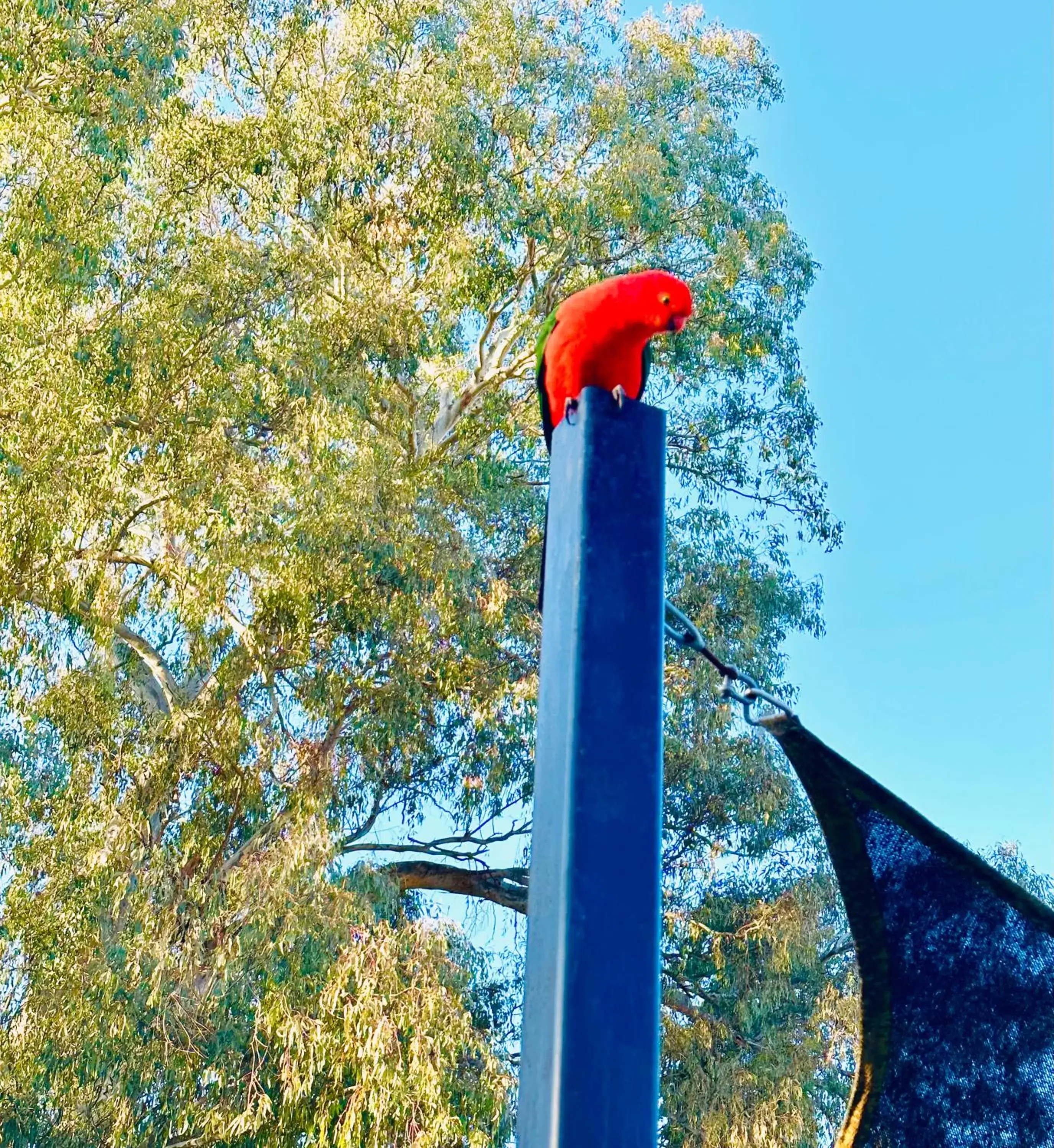 Day in Auto Lodge Motor Inn Day in Auto Lodge Motor Inn