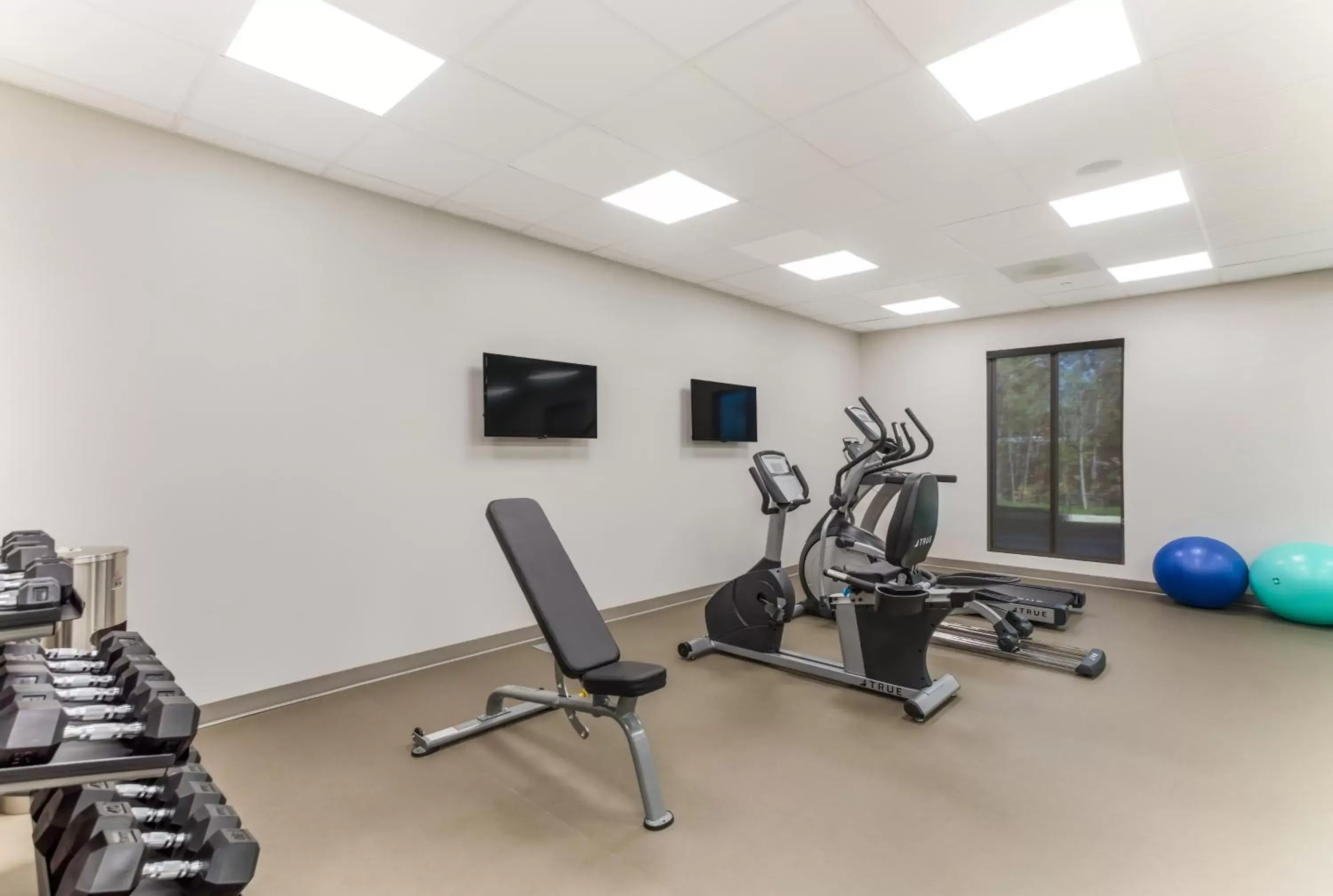 Fitness centre/facilities, Fitness Center/Facilities in MainStay Suites Murfreesboro
