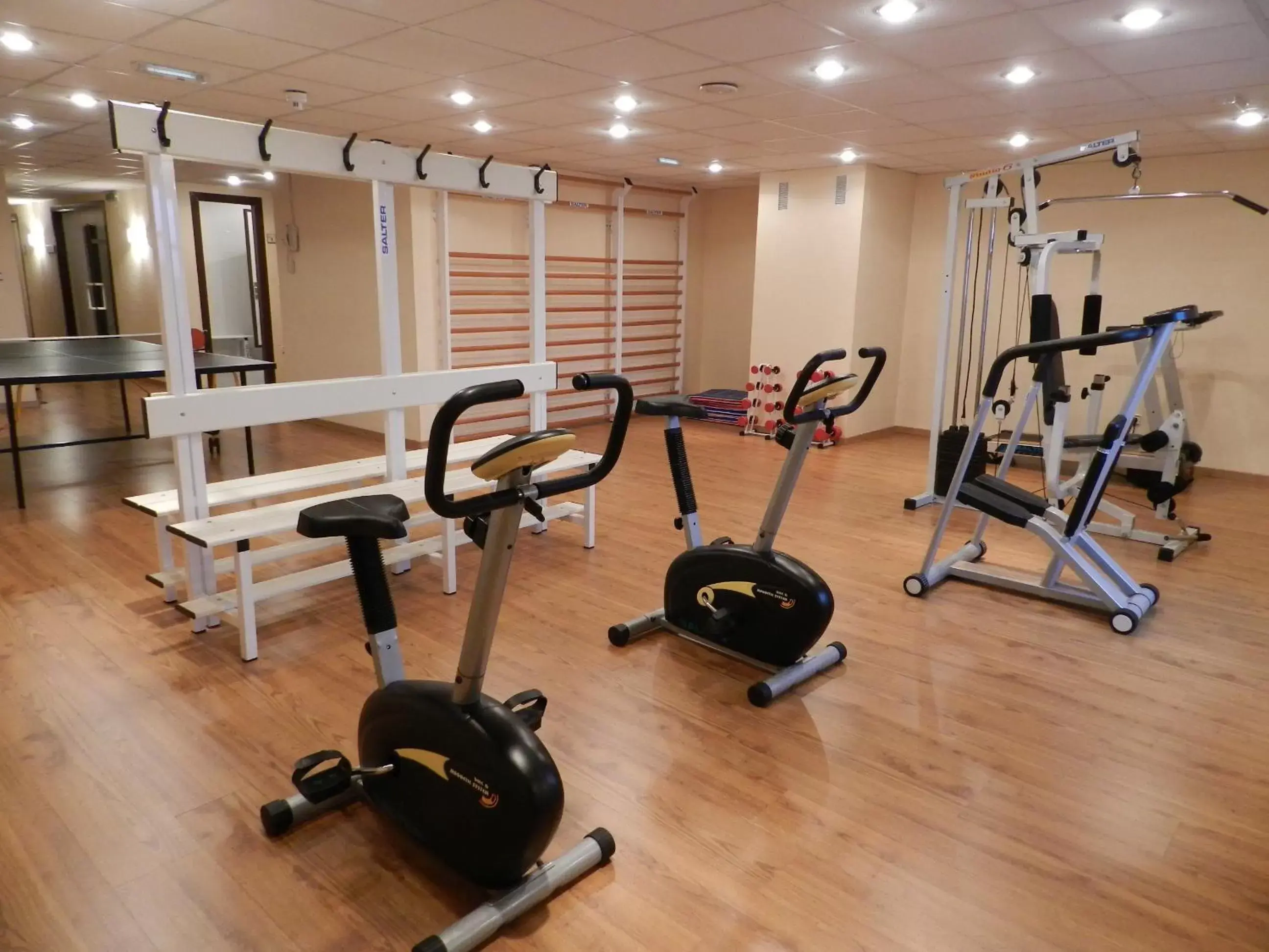 Fitness centre/facilities, Fitness Center/Facilities in Parador de Vilalba