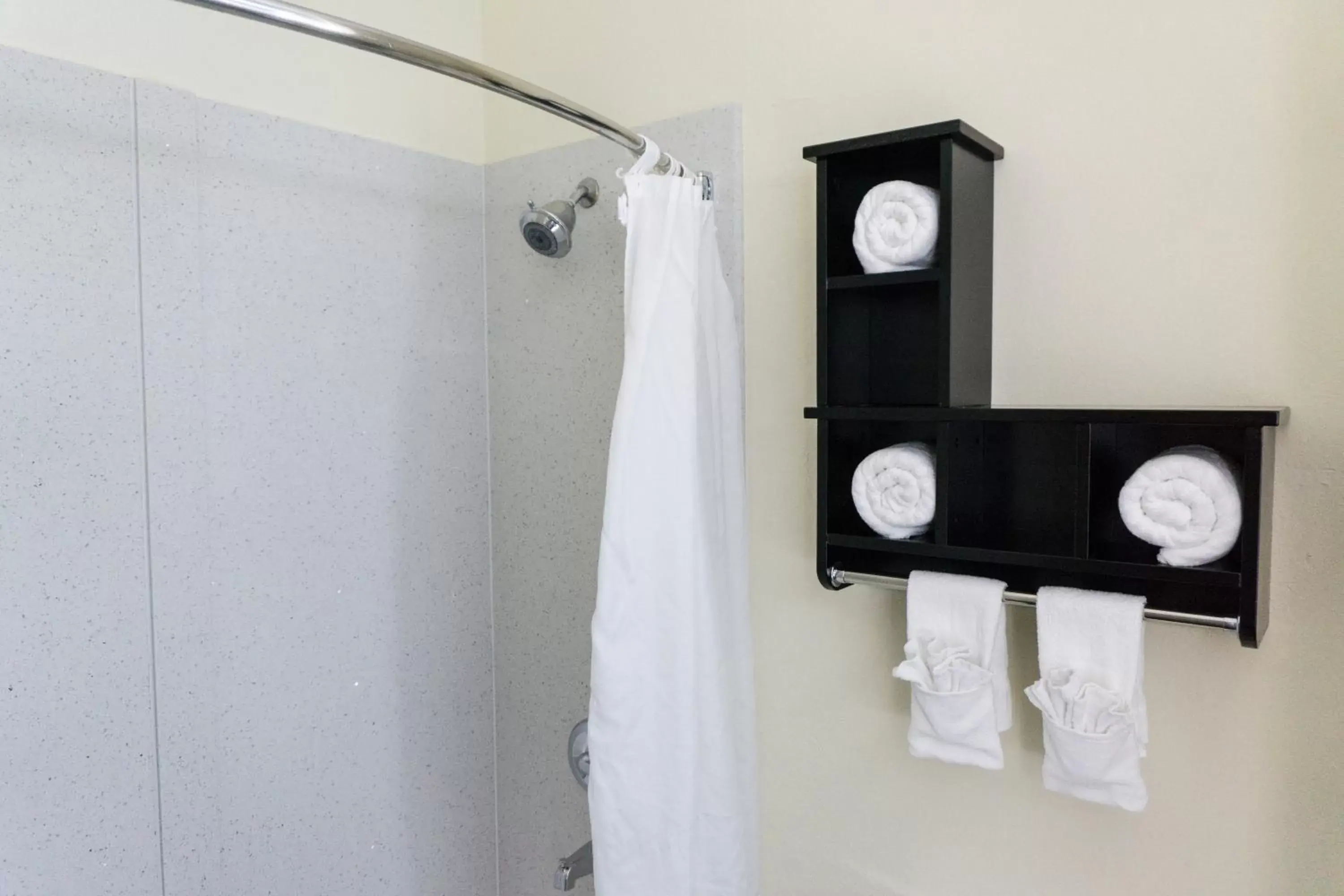 Shower, Bathroom in Best Western Mayport Inn and Suites