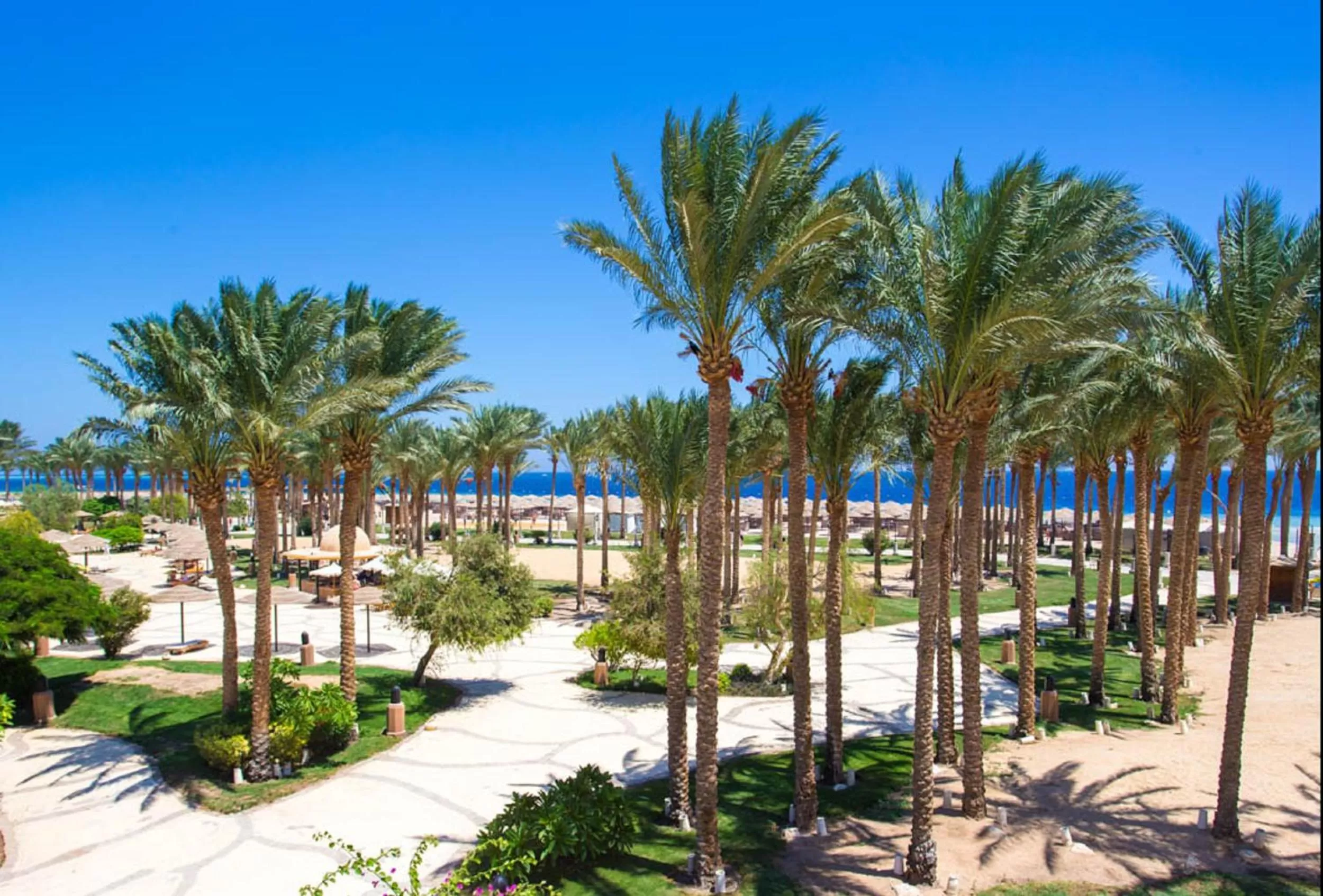 Garden in Grand Makadi - Couples and Families Only