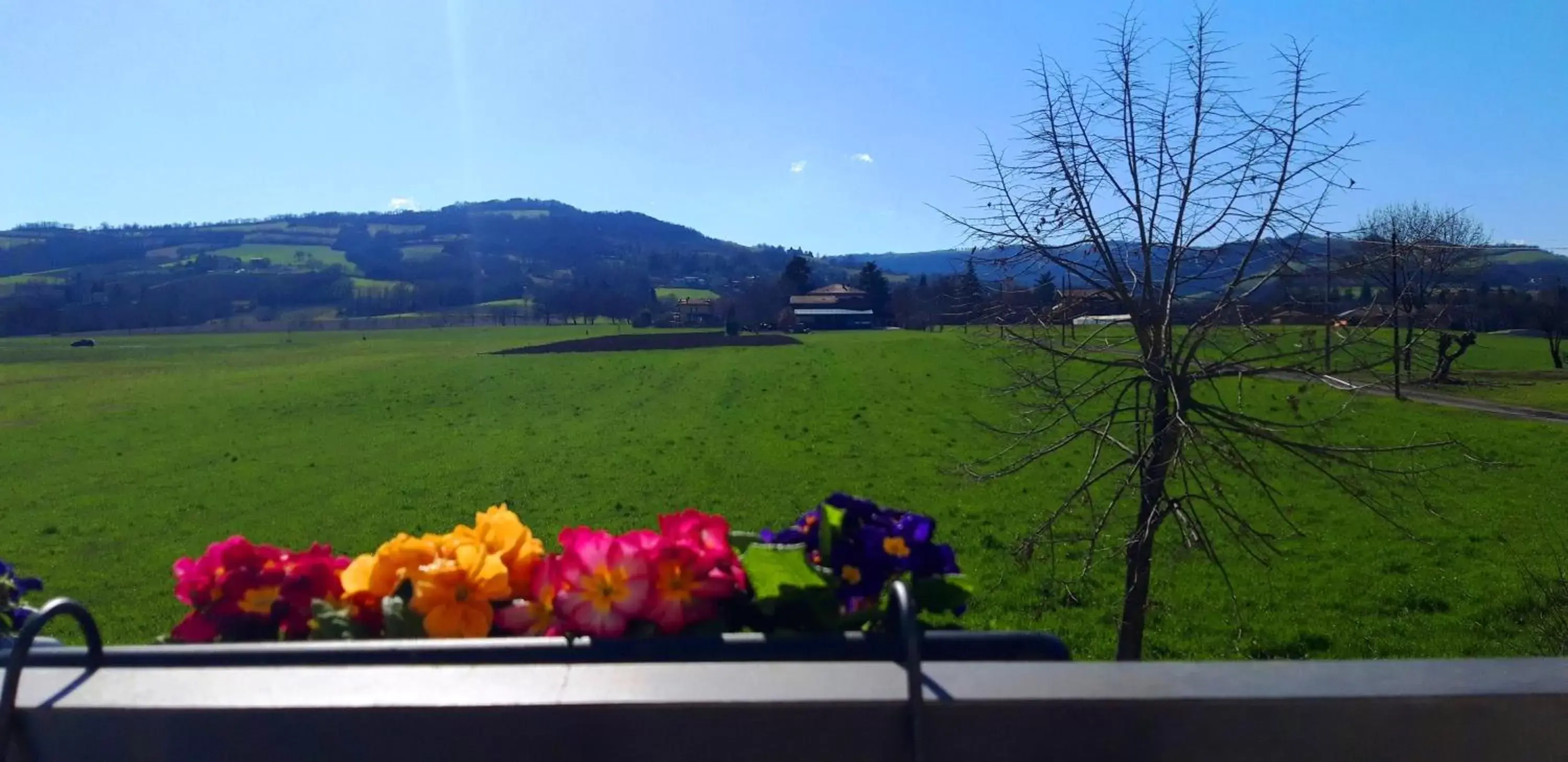 Balcony/Terrace in B&B Des Artistes