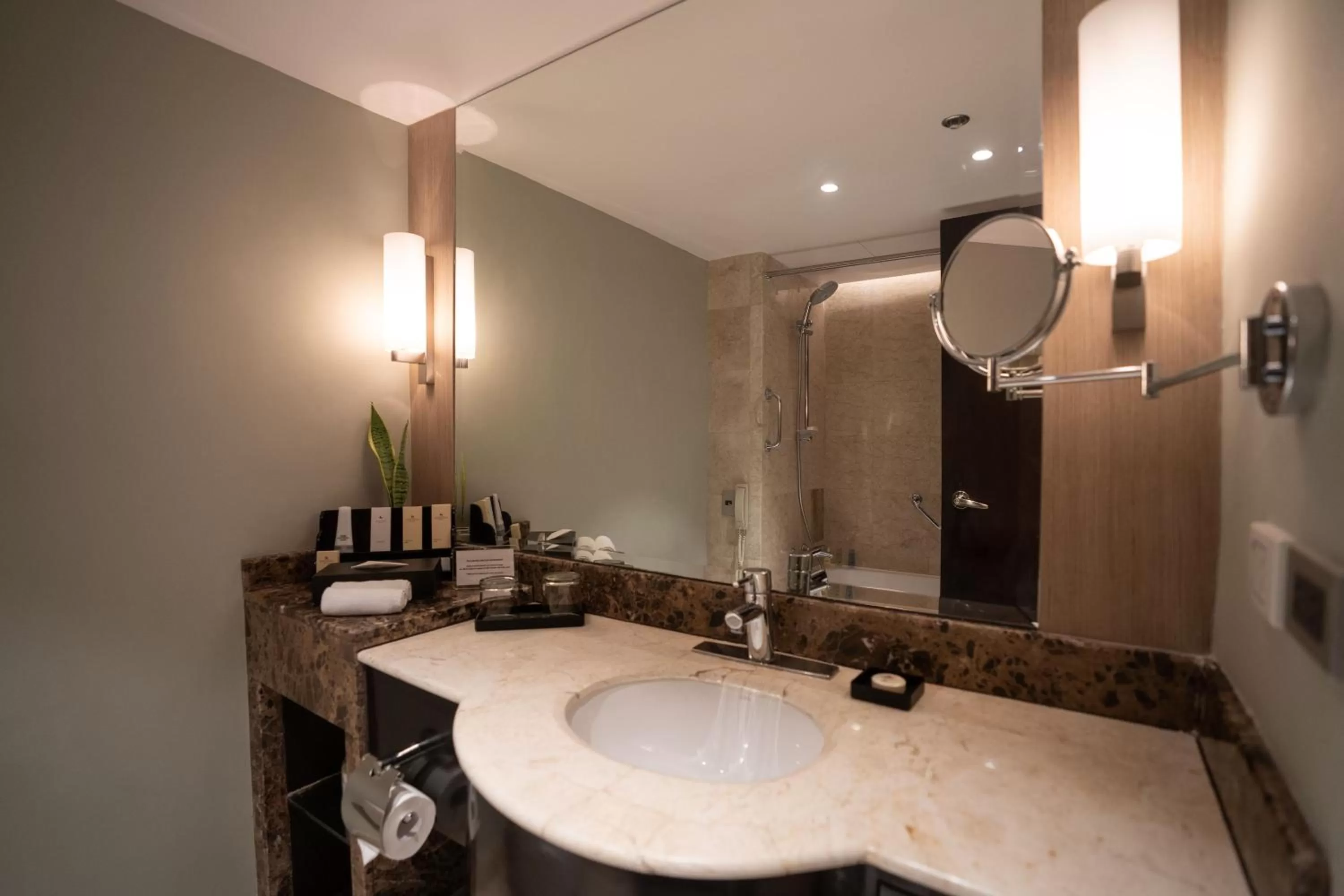 Bathroom in Marco Polo Plaza Cebu