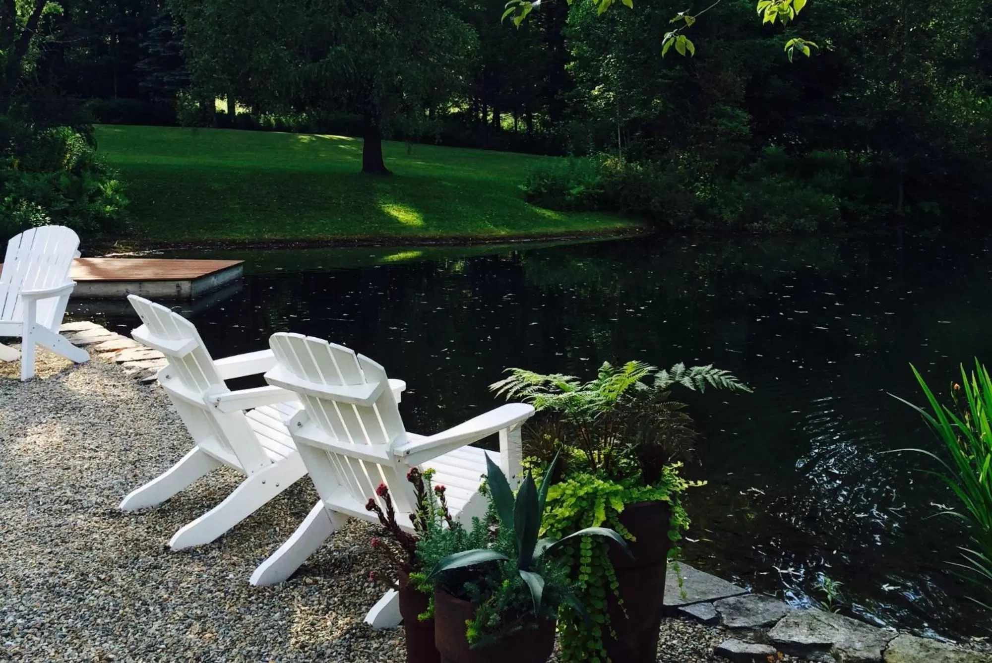 Other Animals in Jackson House Inn