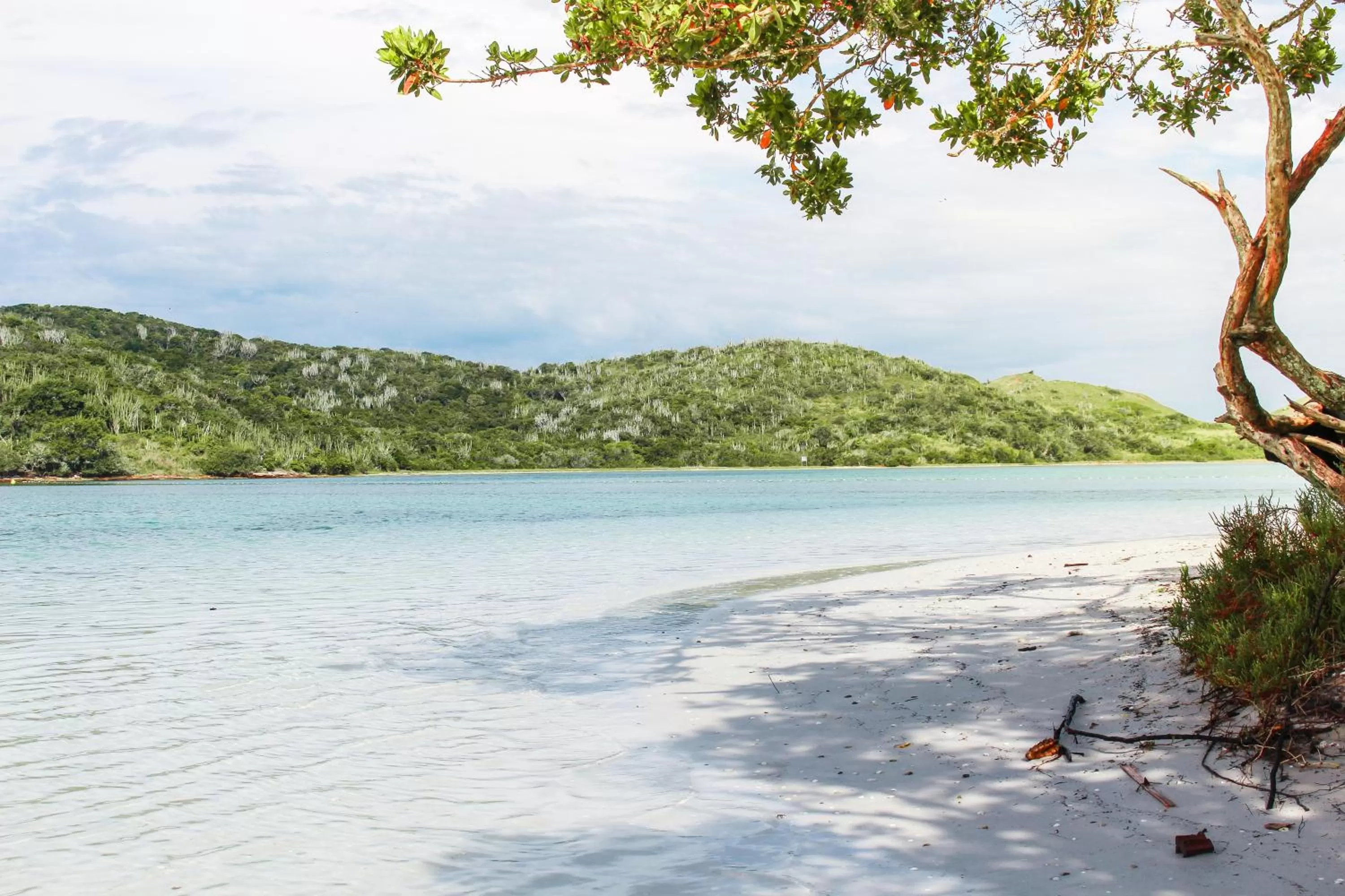 Beach in Pousada Areia do Forte