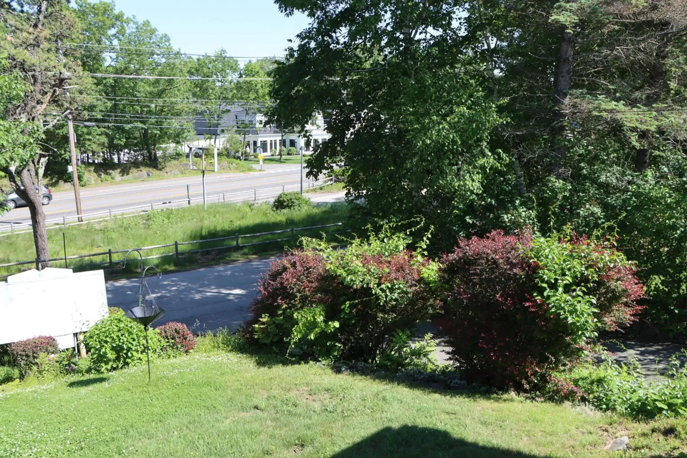 Garden in Sea View Motel