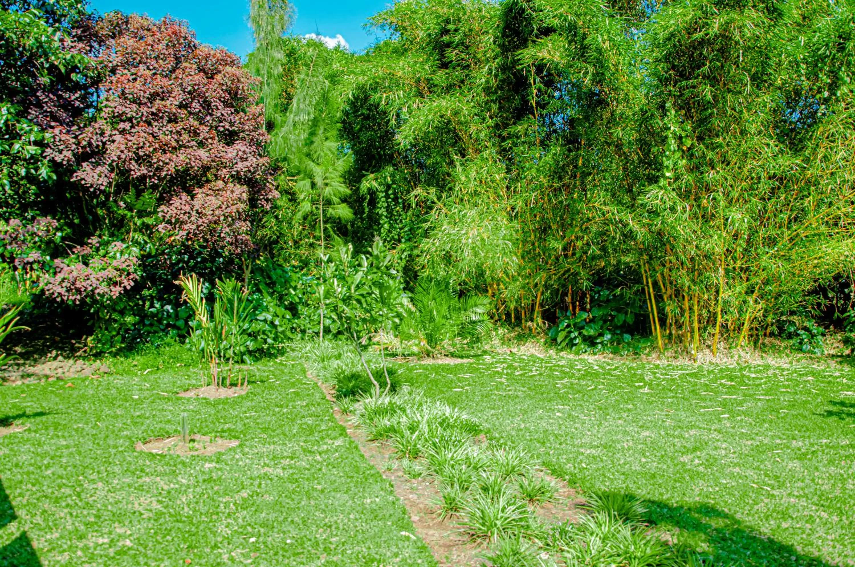 Garden in Fravan Eco Resort By Apogee