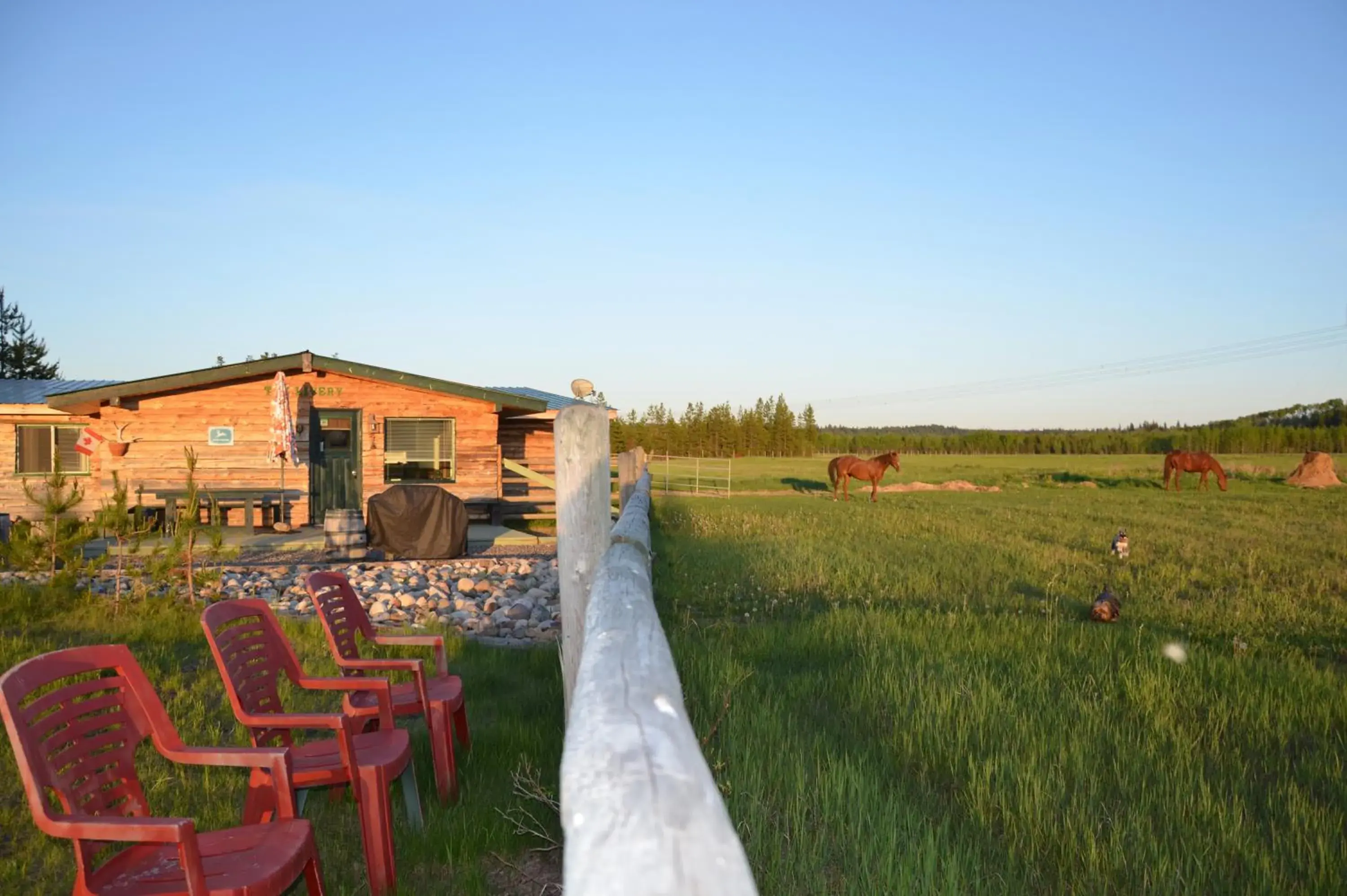 Animals in Woodhouse Cottages And Ranch