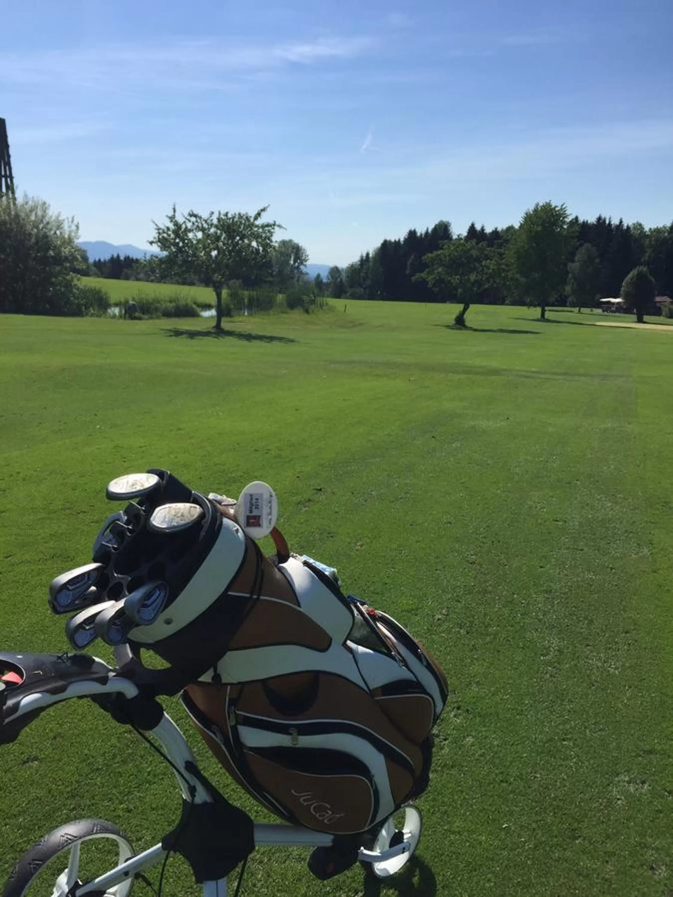 Golfcourse in Hotel Alpenblick