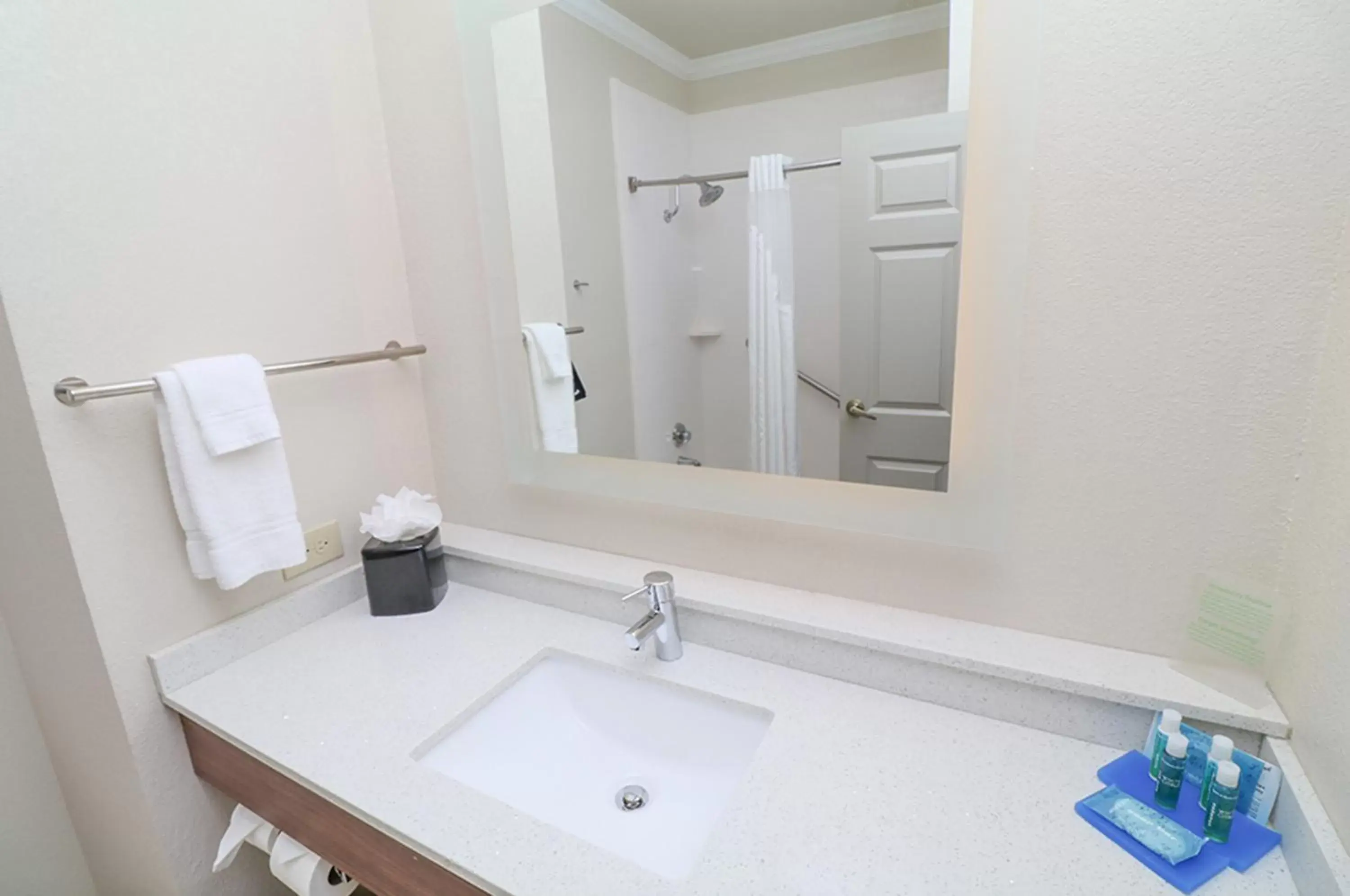 Bathroom in Holiday Inn Express Hotel & Suites Greenville, an IHG Hotel