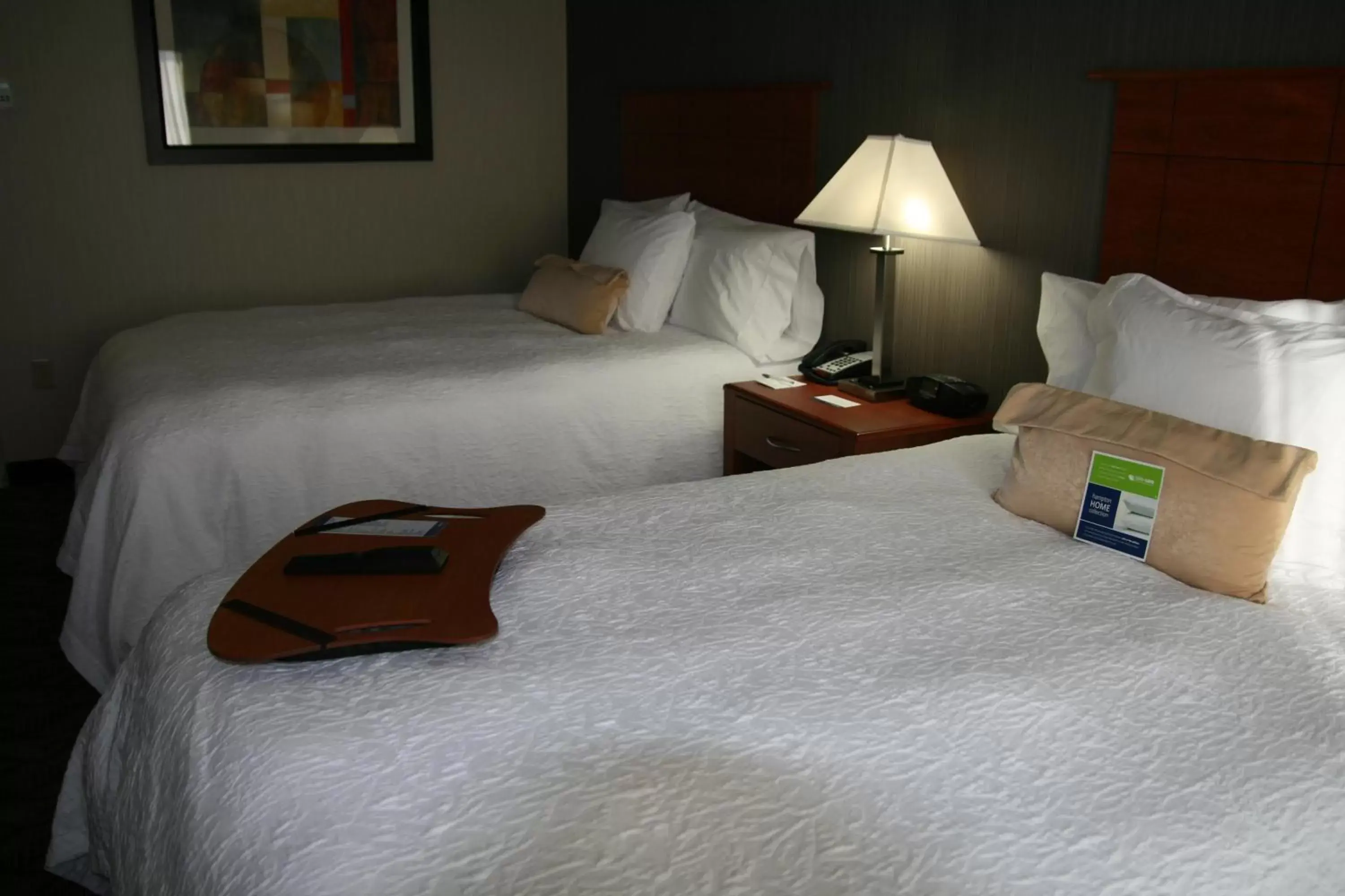 Bedroom, Room Photo in Hampton Inn & Suites Craig, CO