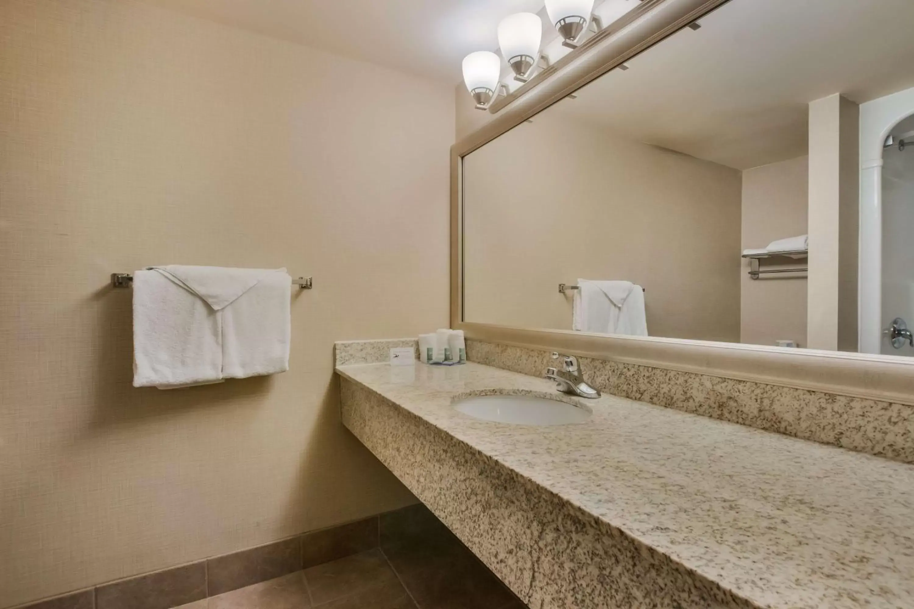 Bathroom in Best Western Brantford Hotel and Conference Centre