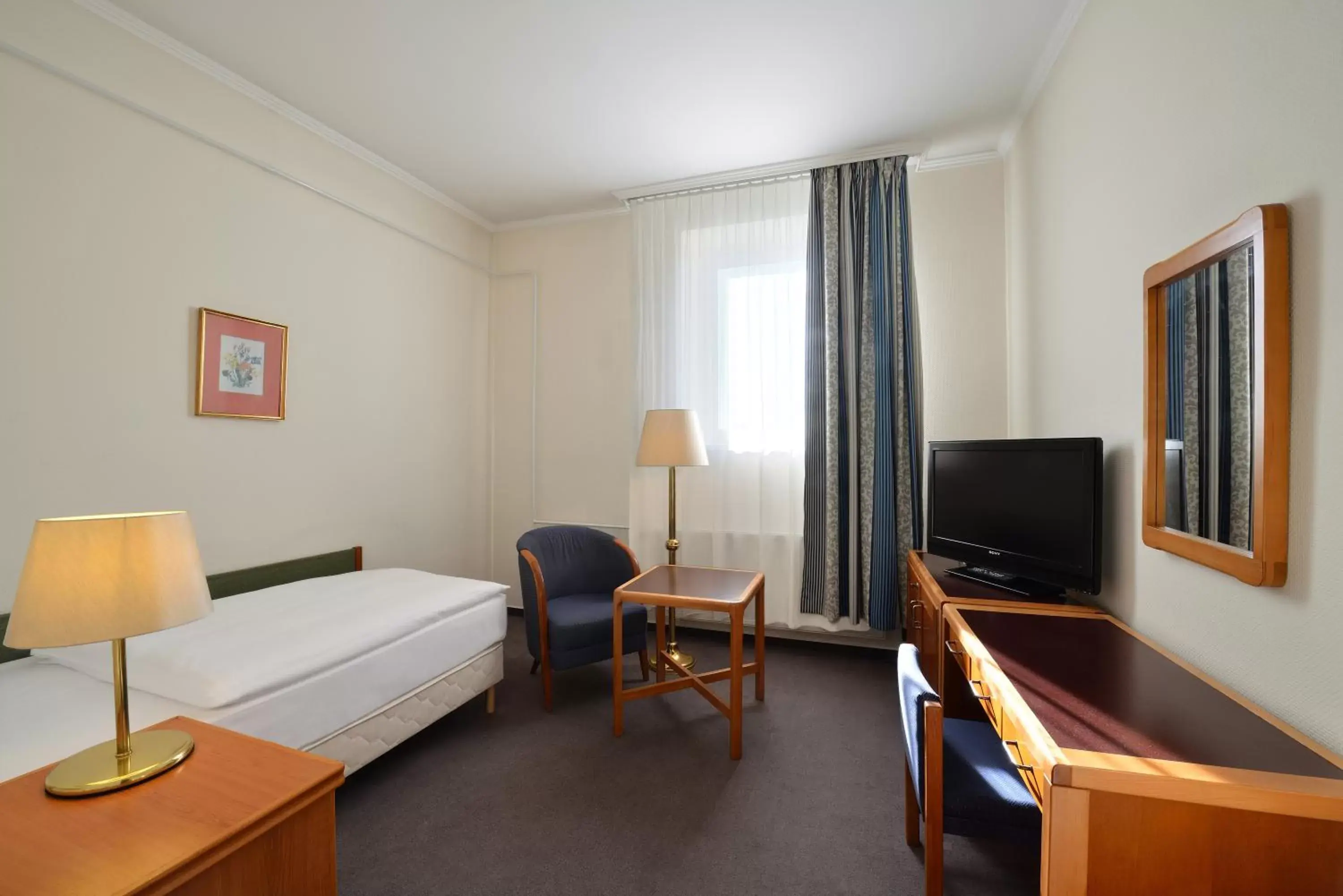 Standard Single Room (pet friendly) in Danubius Hotel Raba Standard Single Room (pet friendly) in Danubius Hotel Raba