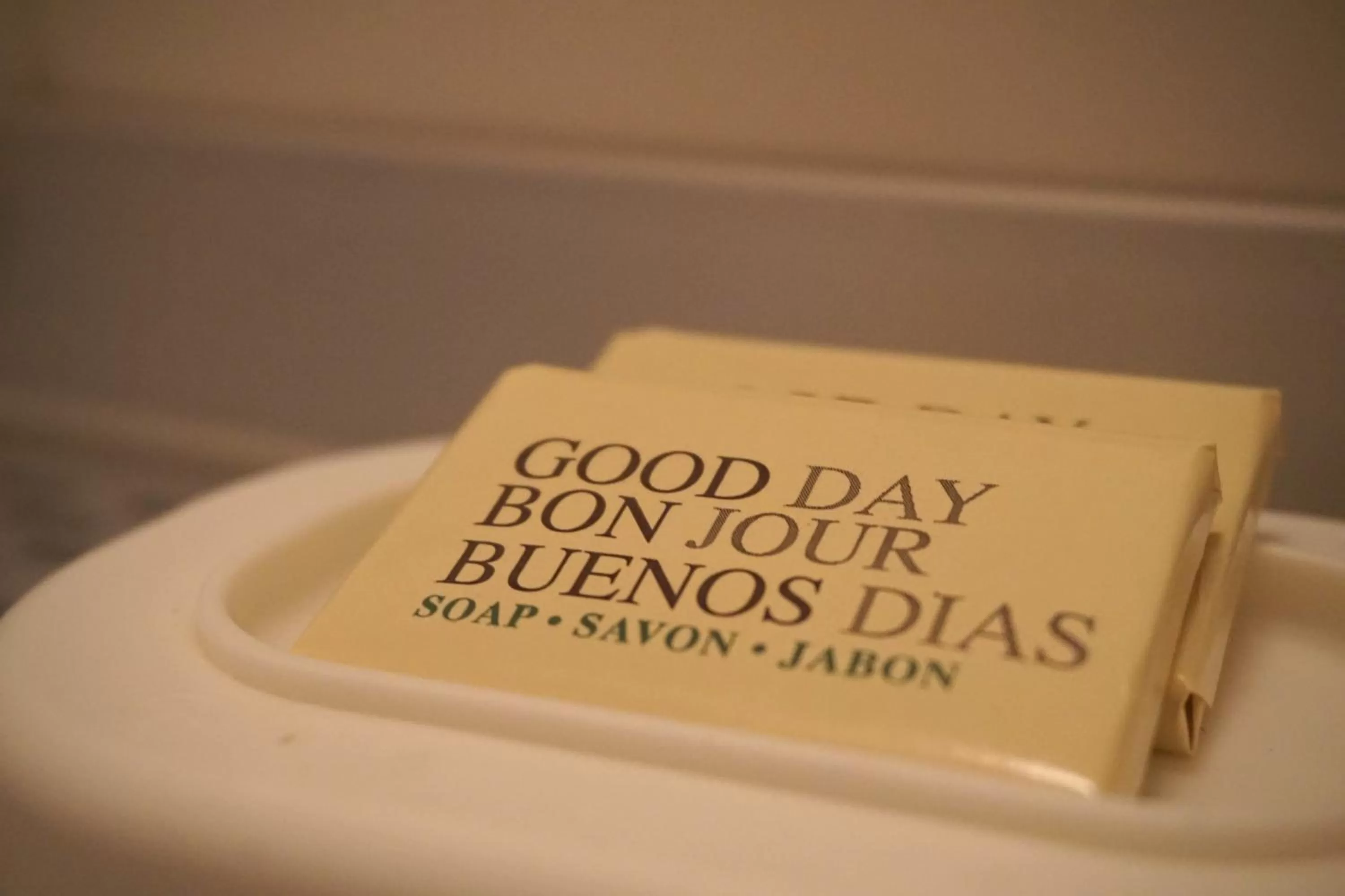 Property building in Holland Lodge Paramaribo