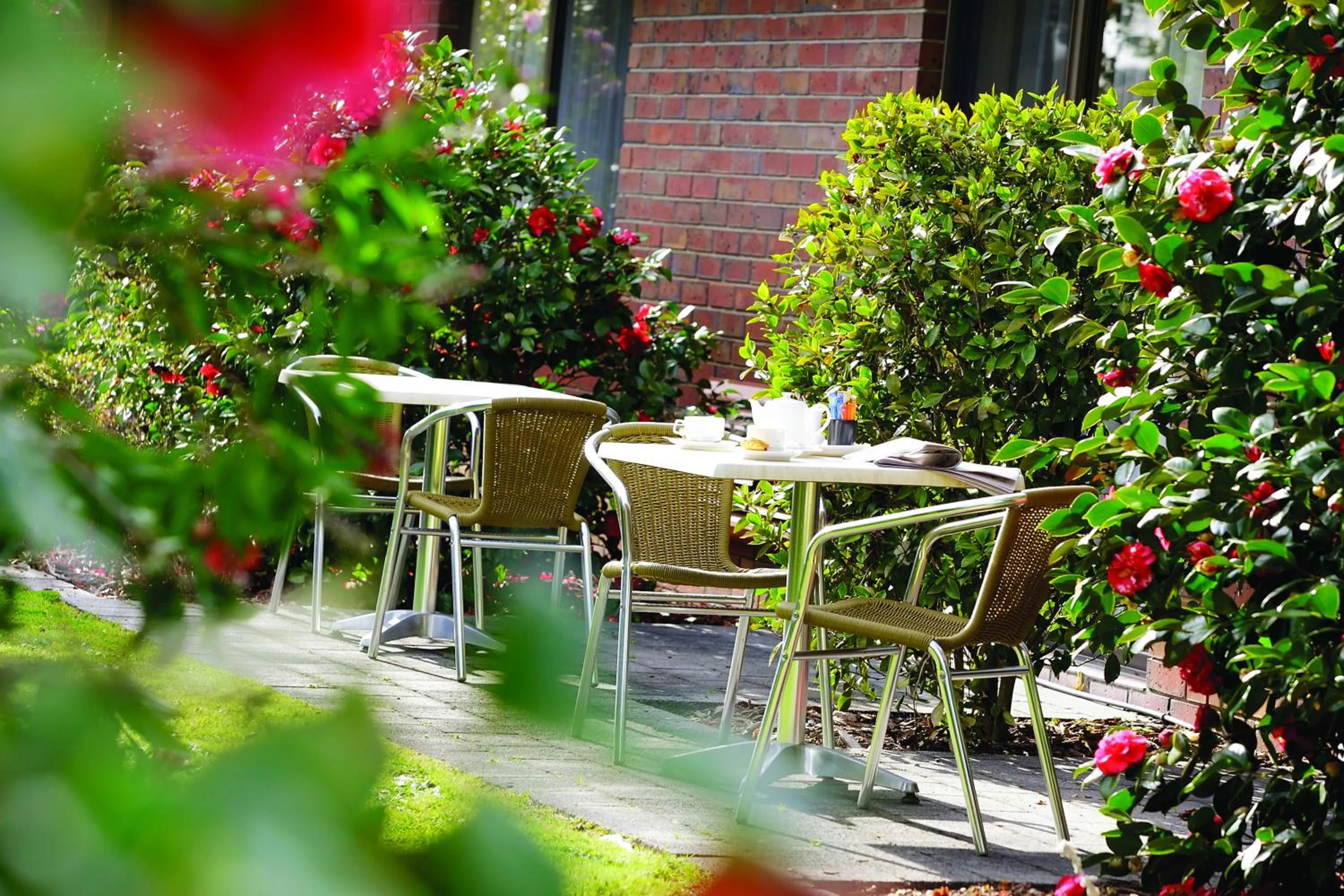 Garden in Hotel Bruce County