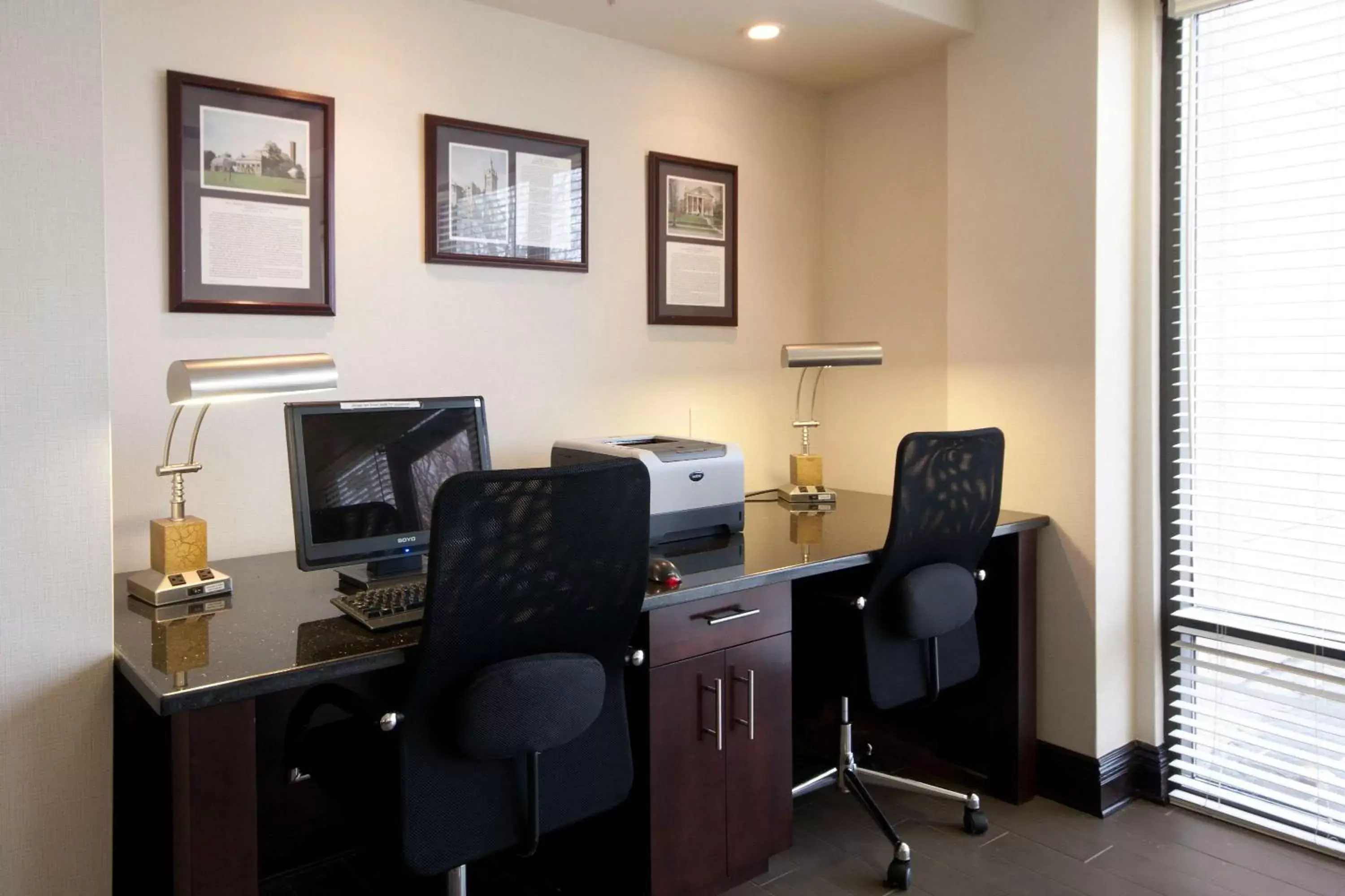 Business facilities in Hampton Inn Buffalo-South/I-90