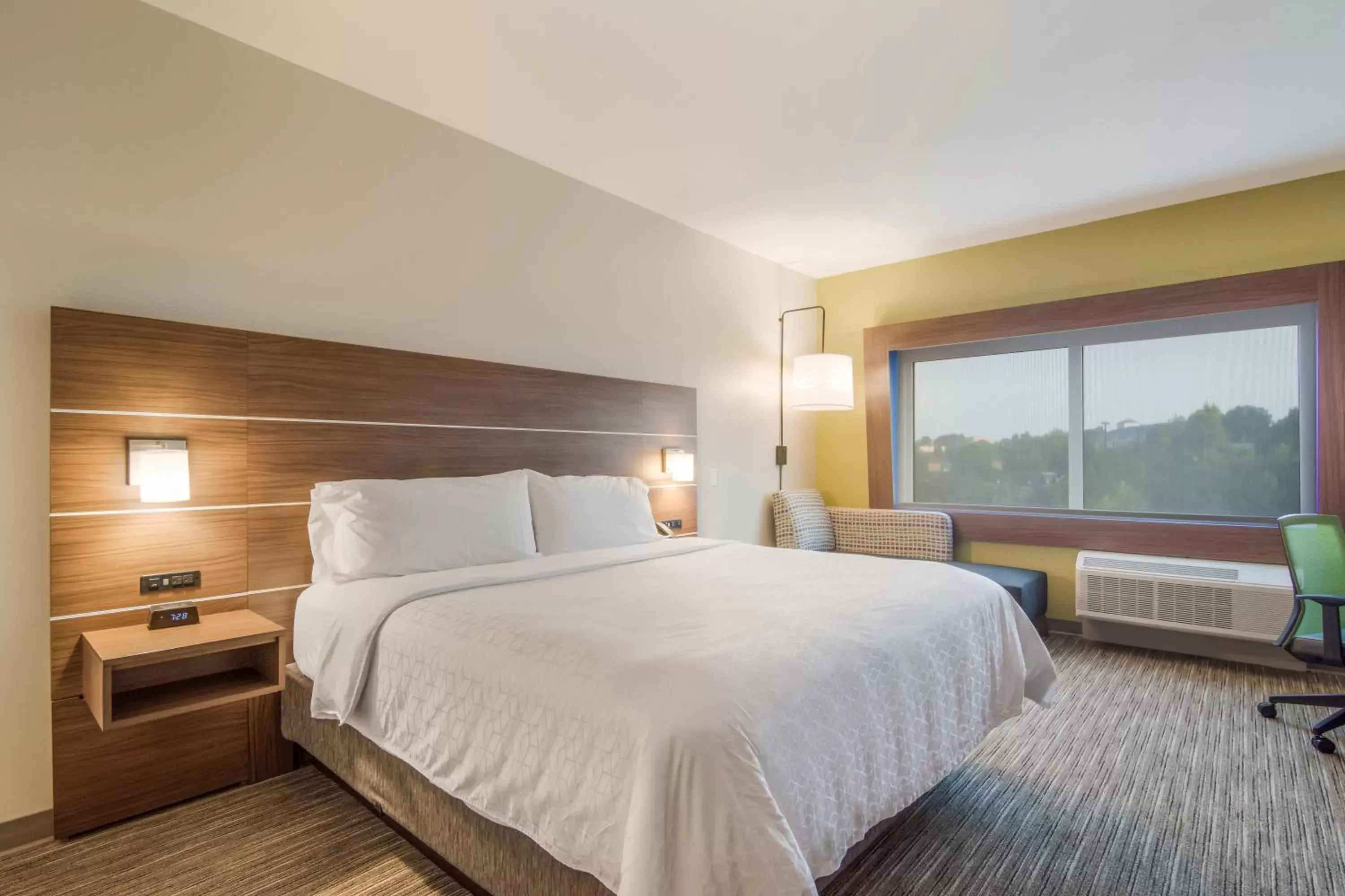 Photo of the whole room, Bed in Holiday Inn Express & Suites - Asheboro, an IHG Hotel