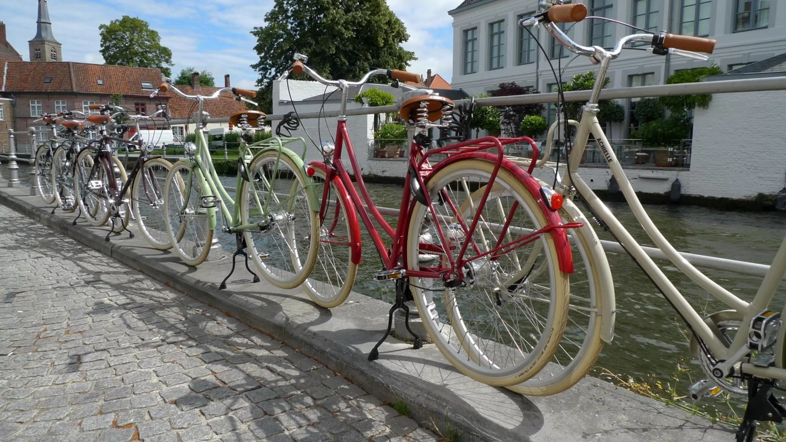On site, Biking in The Doghouse B&B
