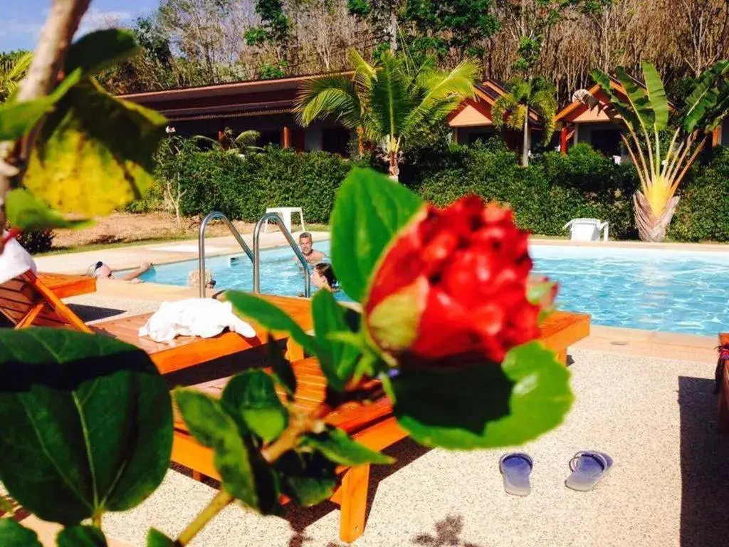 Patio, Swimming Pool in Veranda Lanta Resort