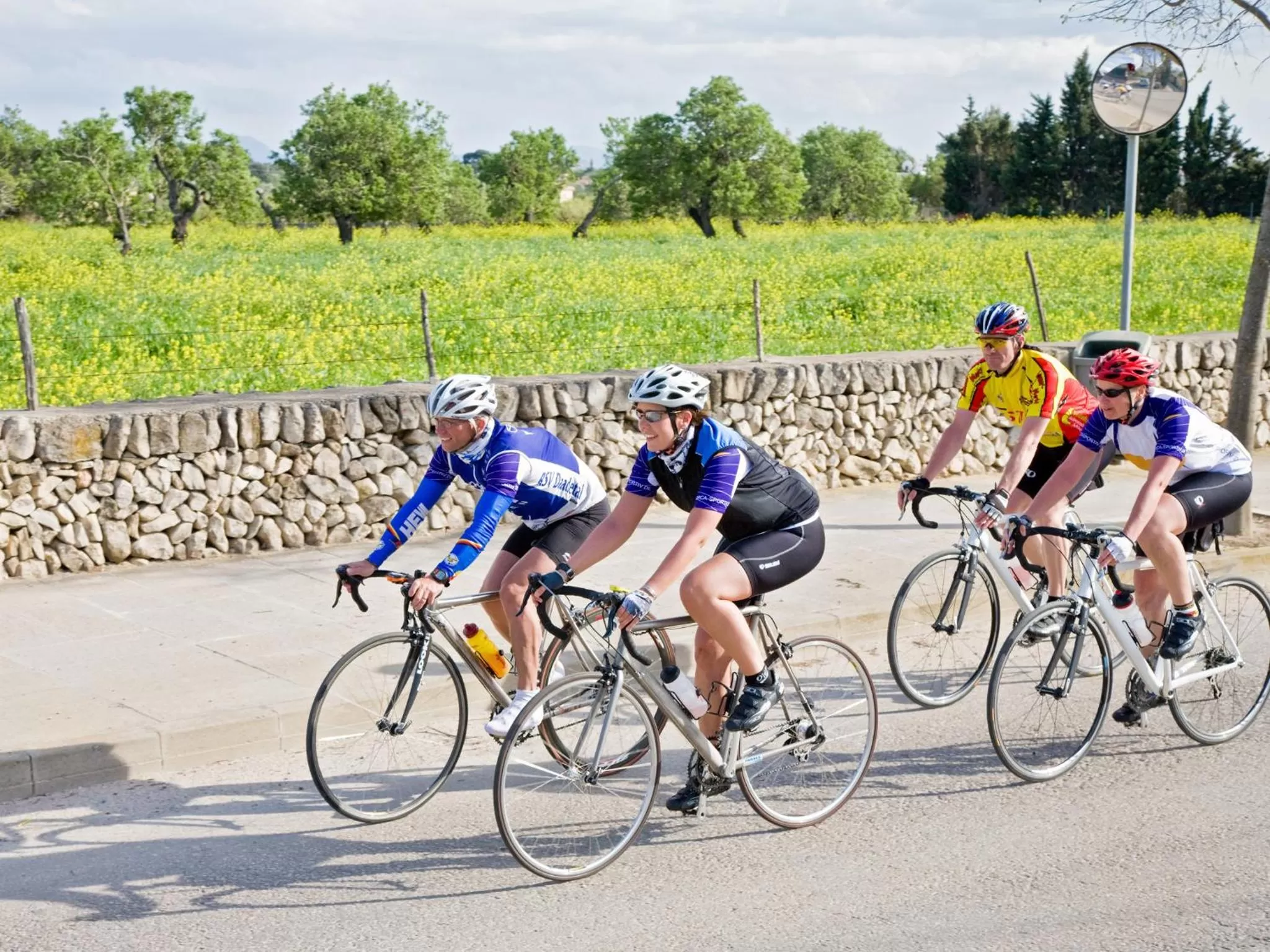 Other in Monnàber Vell