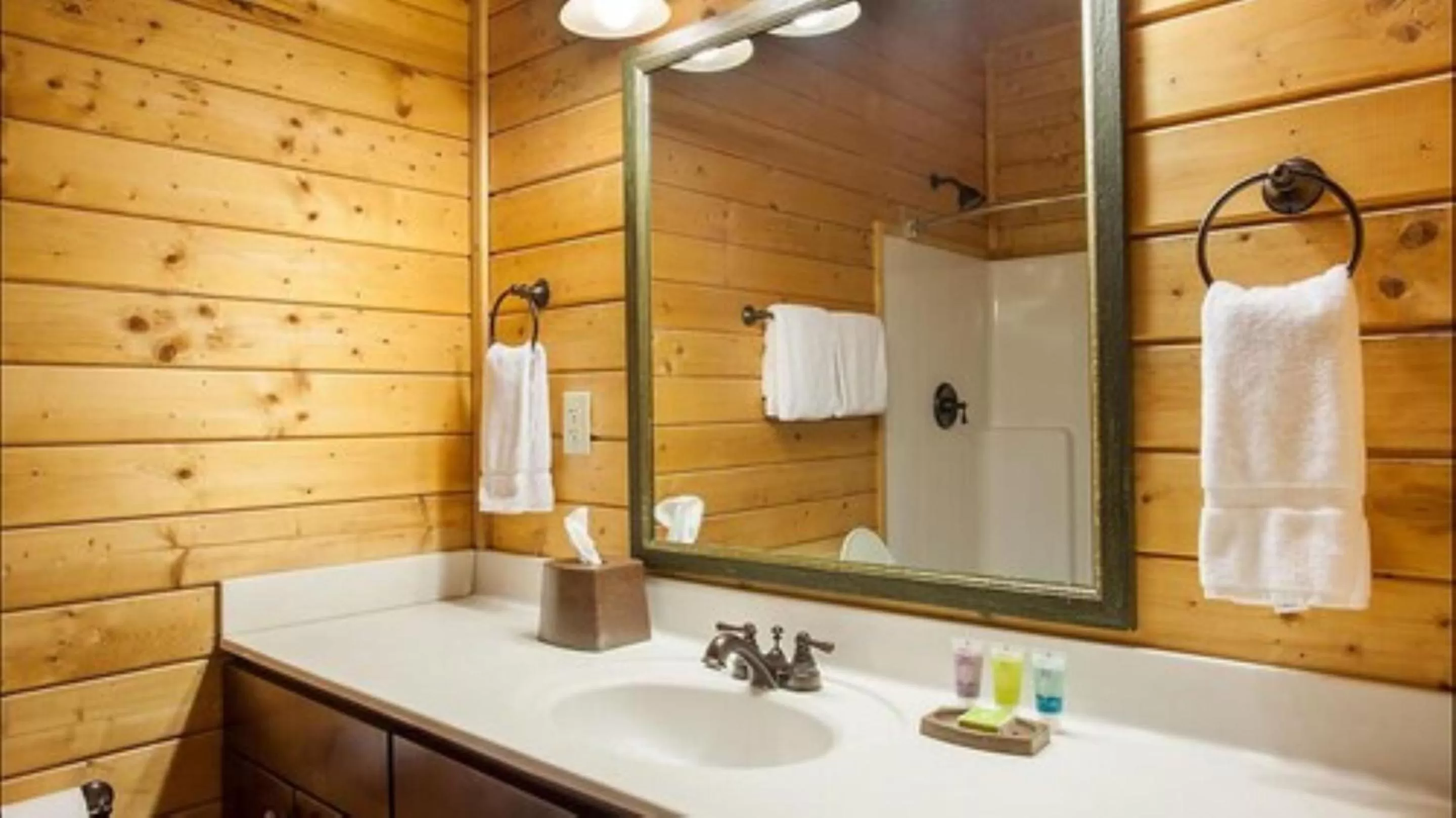 Bathroom in Bluegreen Vacations Shenandoah Crossing, an Ascend Collection Resort