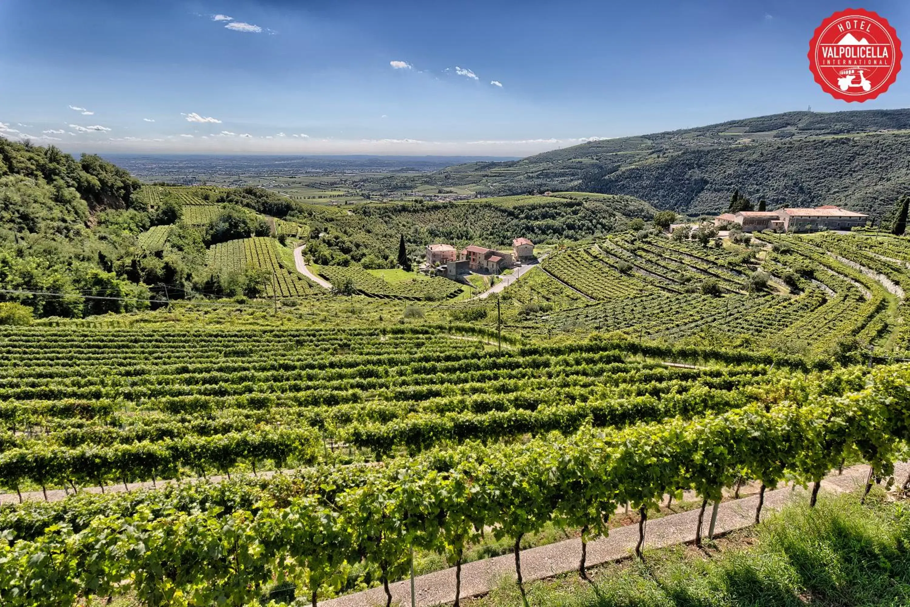 Area and facilities in Hotel Valpolicella International