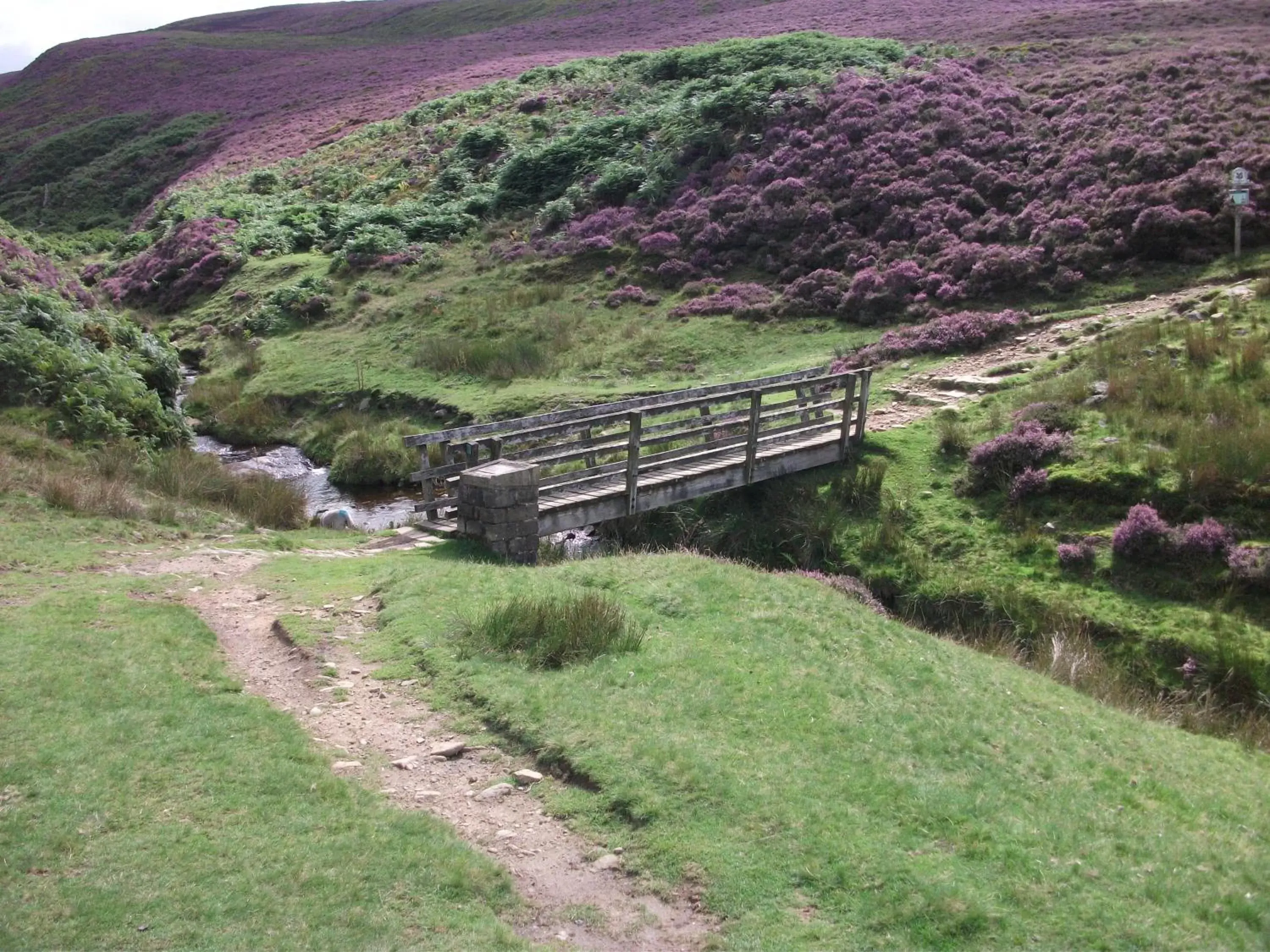 Summer in The Lantern Pike Inn