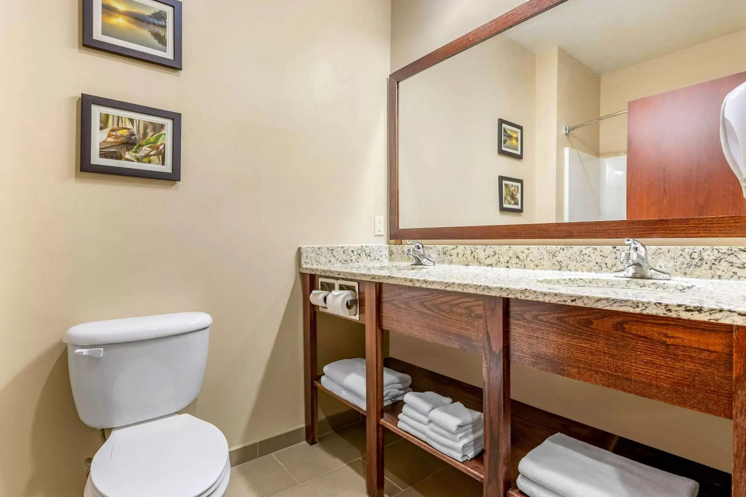 Bathroom in Comfort Inn & Suites Davenport - Quad Cities