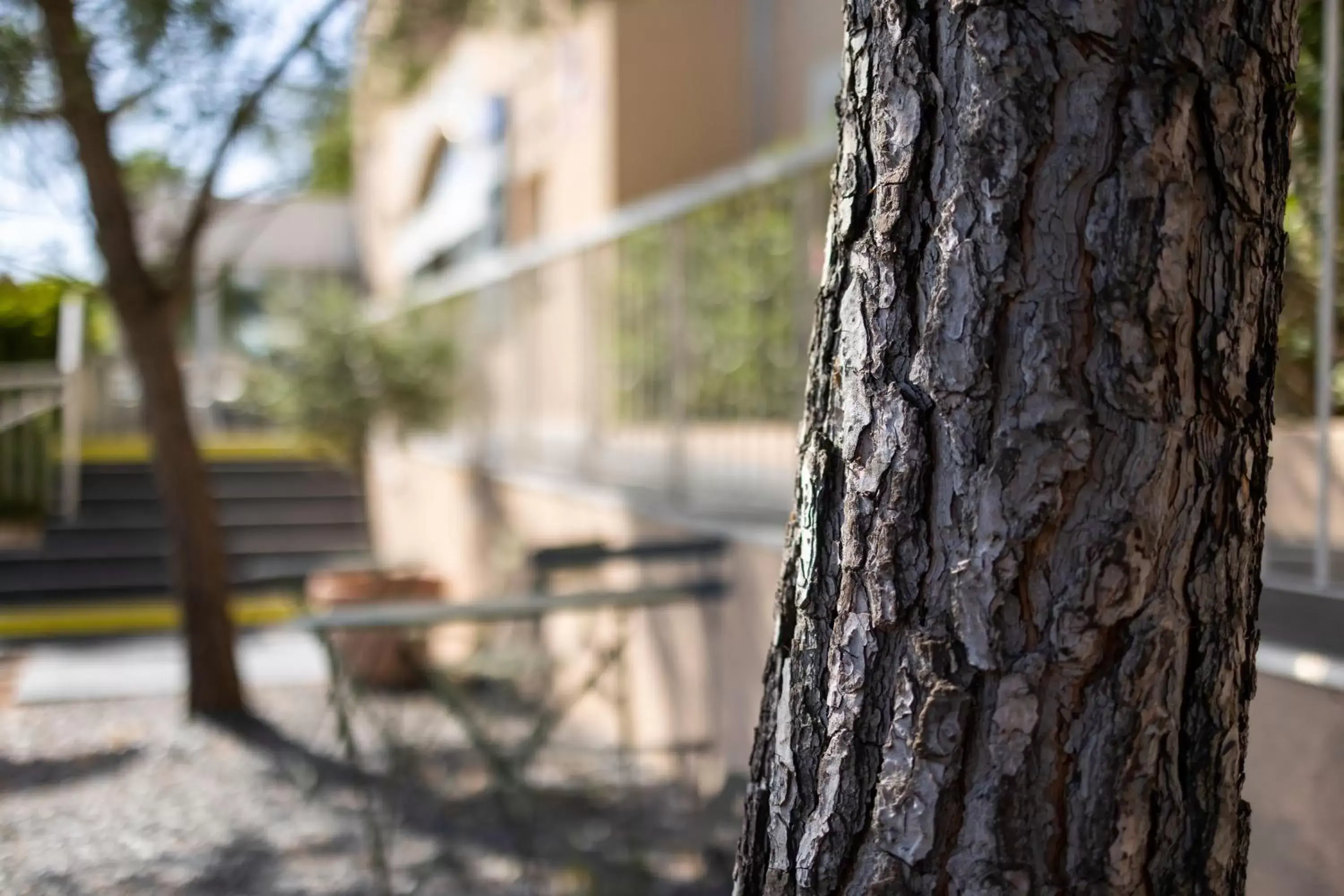 Facade/entrance in Hôtel restaurant Kyriad Fréjus Facade/entrance in Hôtel restaurant Kyriad Fréjus