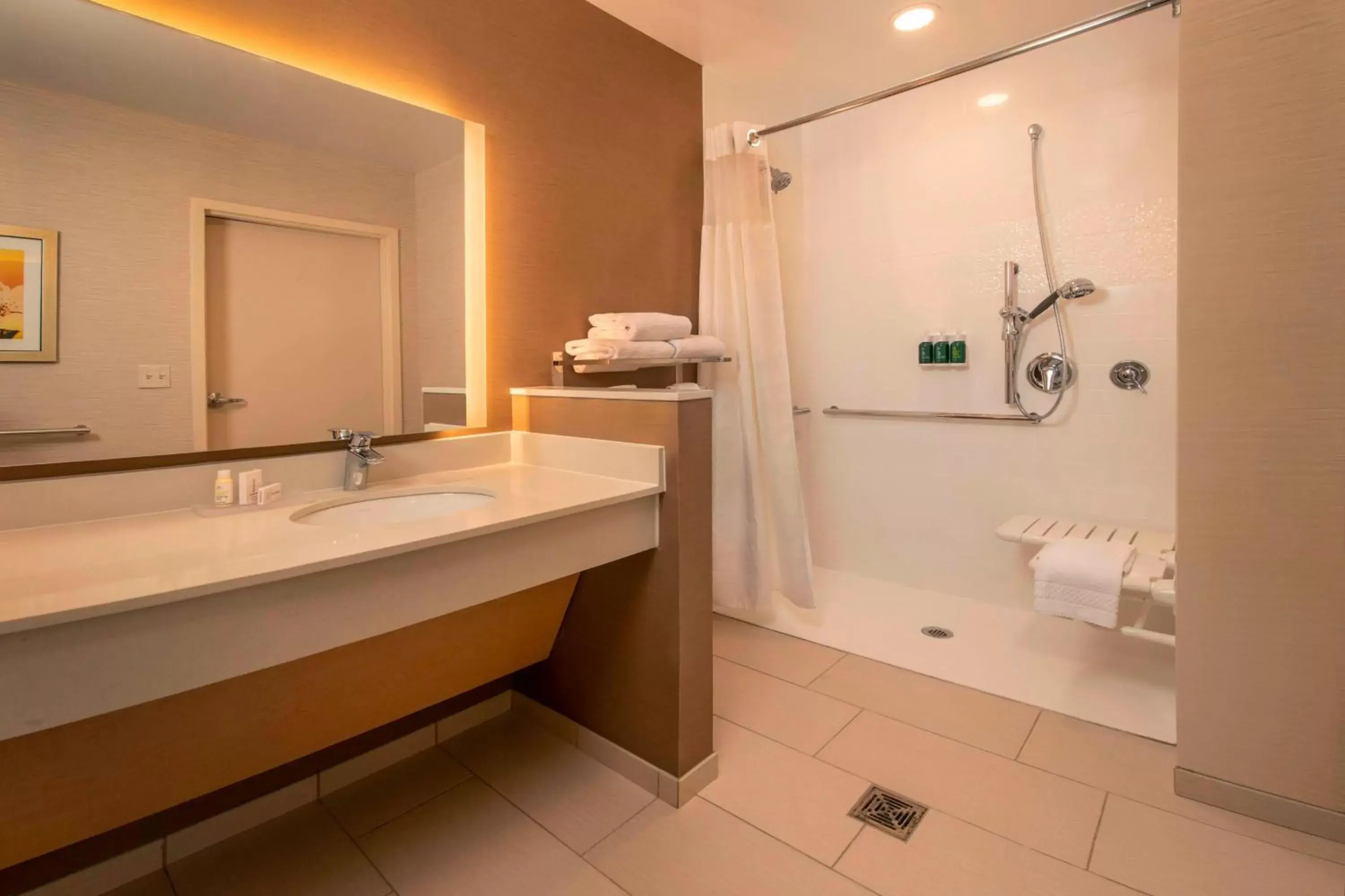 Bathroom in Fairfield Inn & Suites by Marriott Harrisburg International Airport