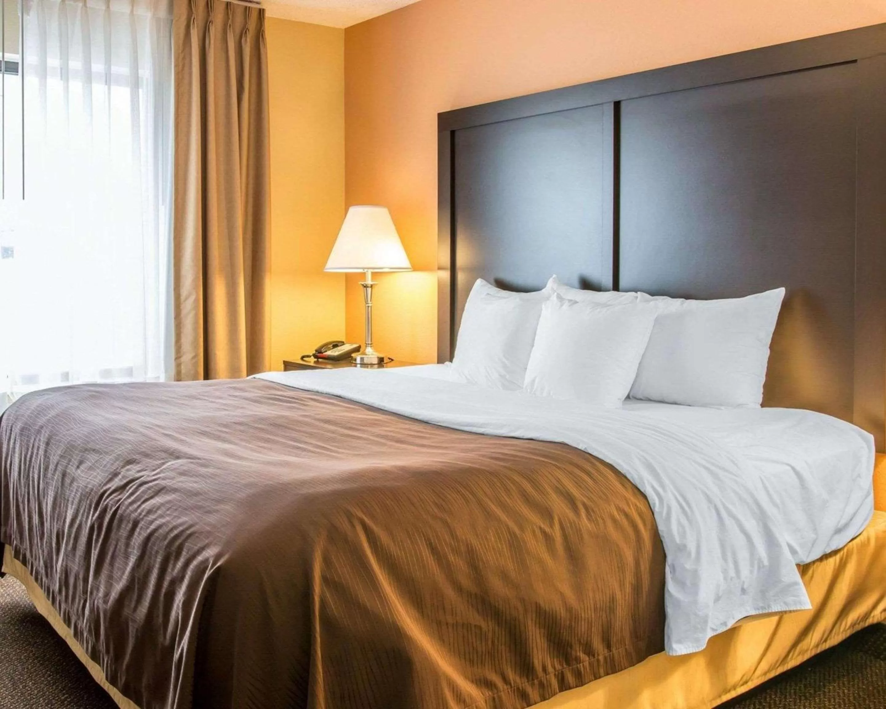 Bedroom, Bed in Quality Inn & Suites Niles