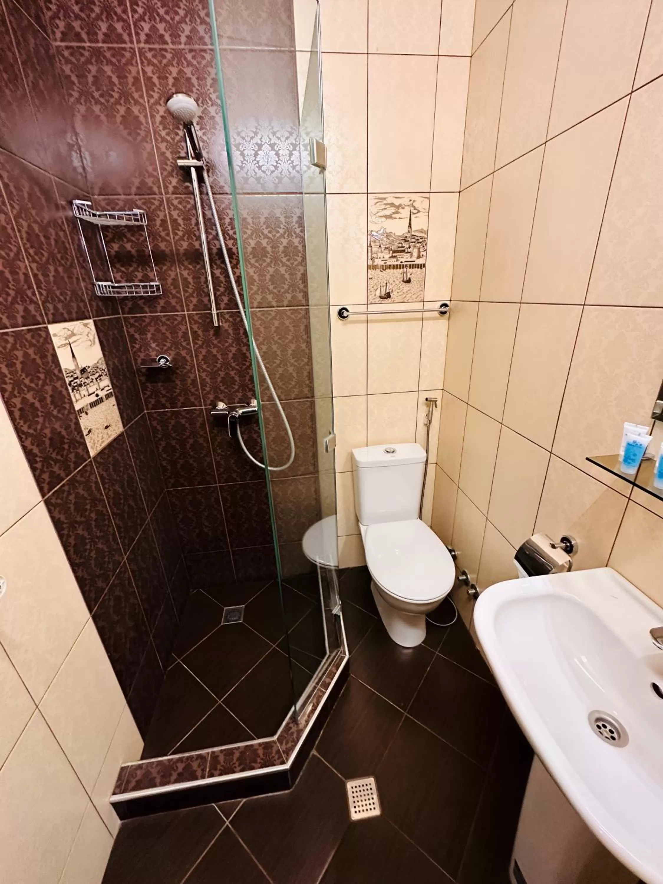 Toilet in Hotel British House