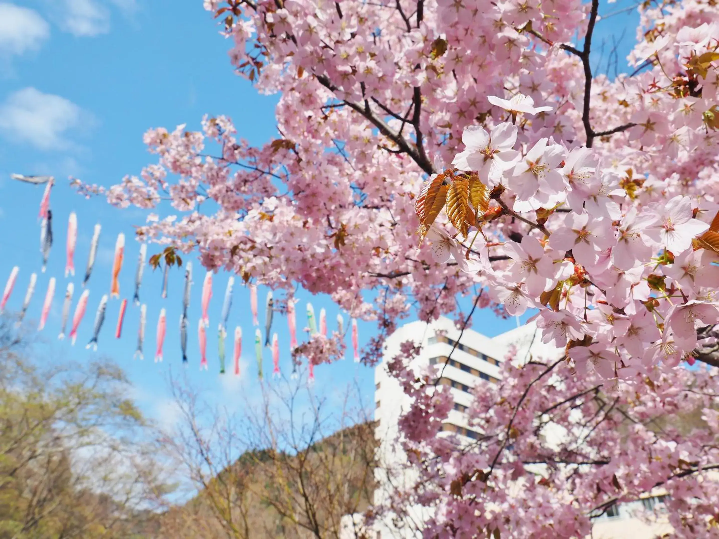 Natural landscape in Jozankei View Hotel