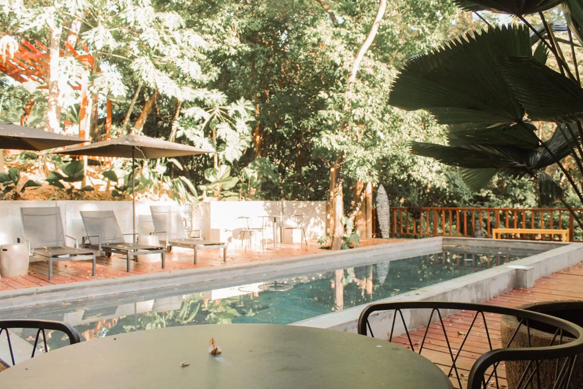 Swimming pool in Saboga Lodge