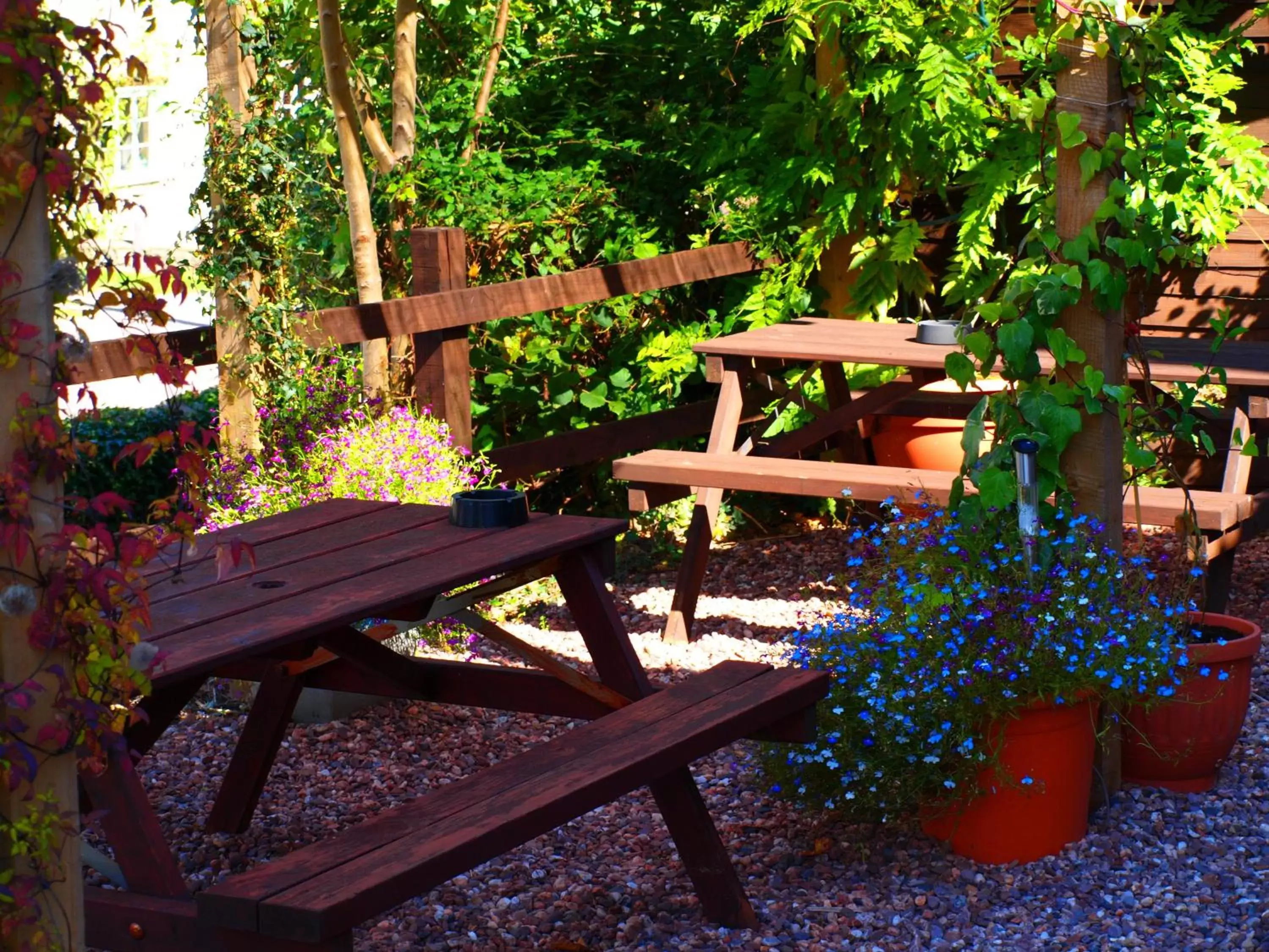 Patio in The Greyhound Inn