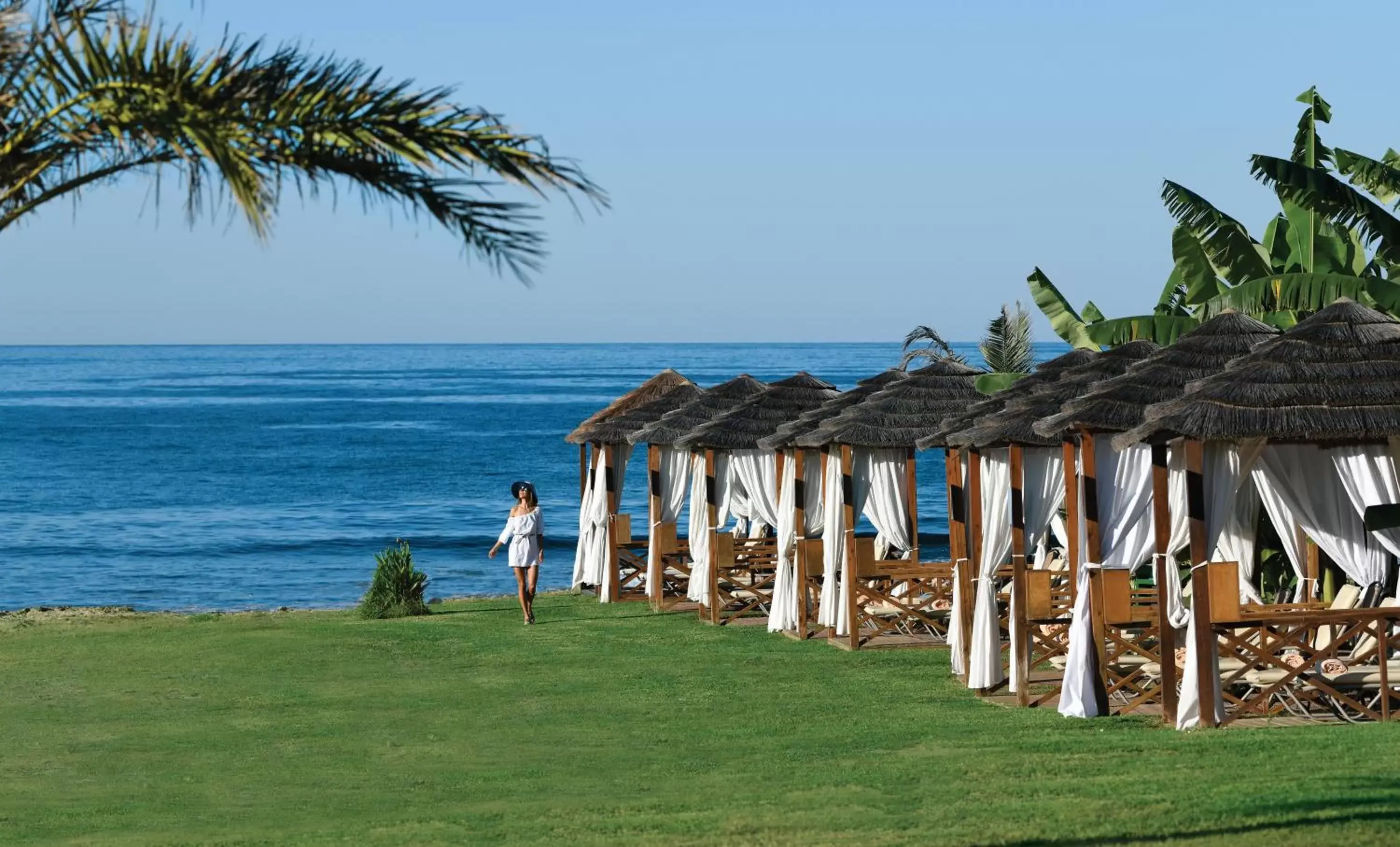 Garden, Beach in Constantinou Bros Athena Royal Beach Hotel