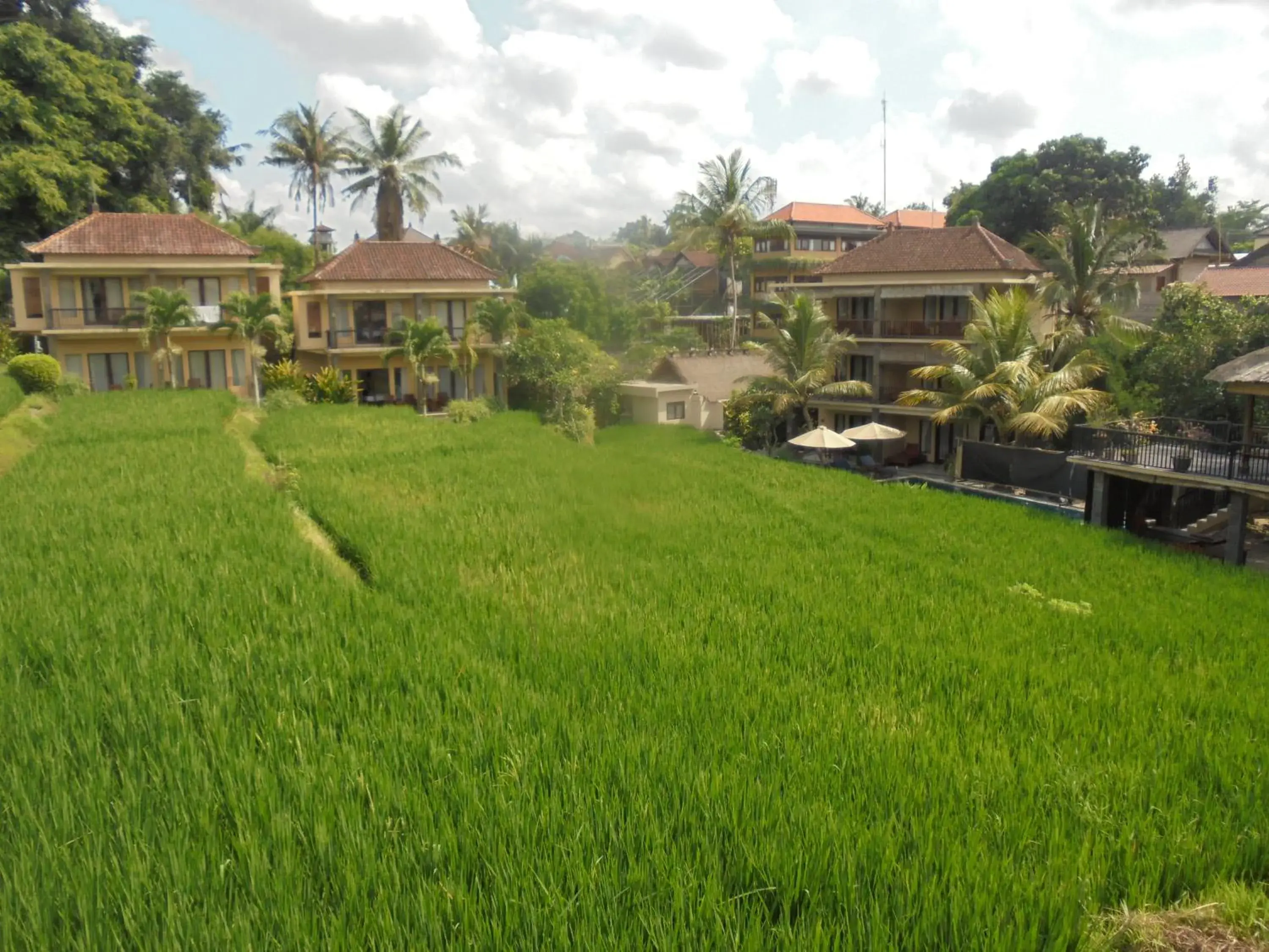 Natural landscape, Property Building in Biyukukung Suite & Spa