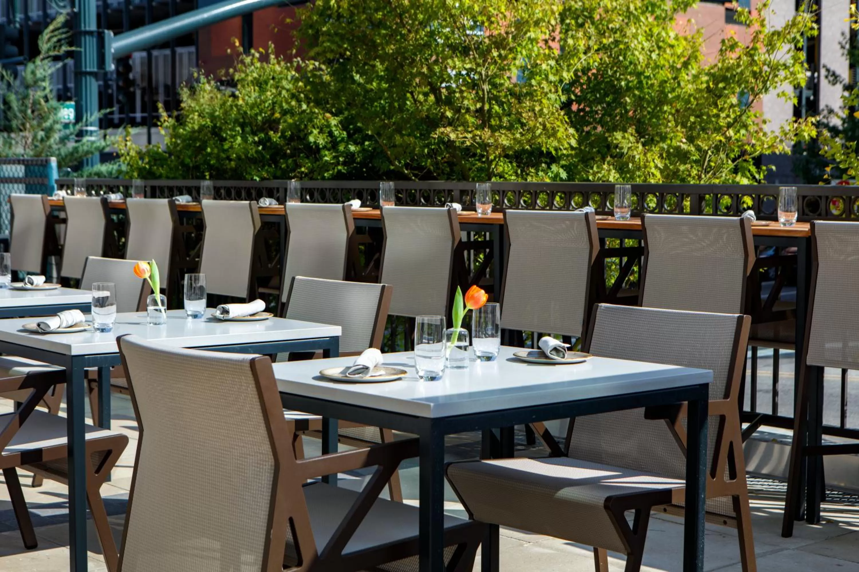 Restaurant/places to eat in Kimpton Hotel Arras by IHG