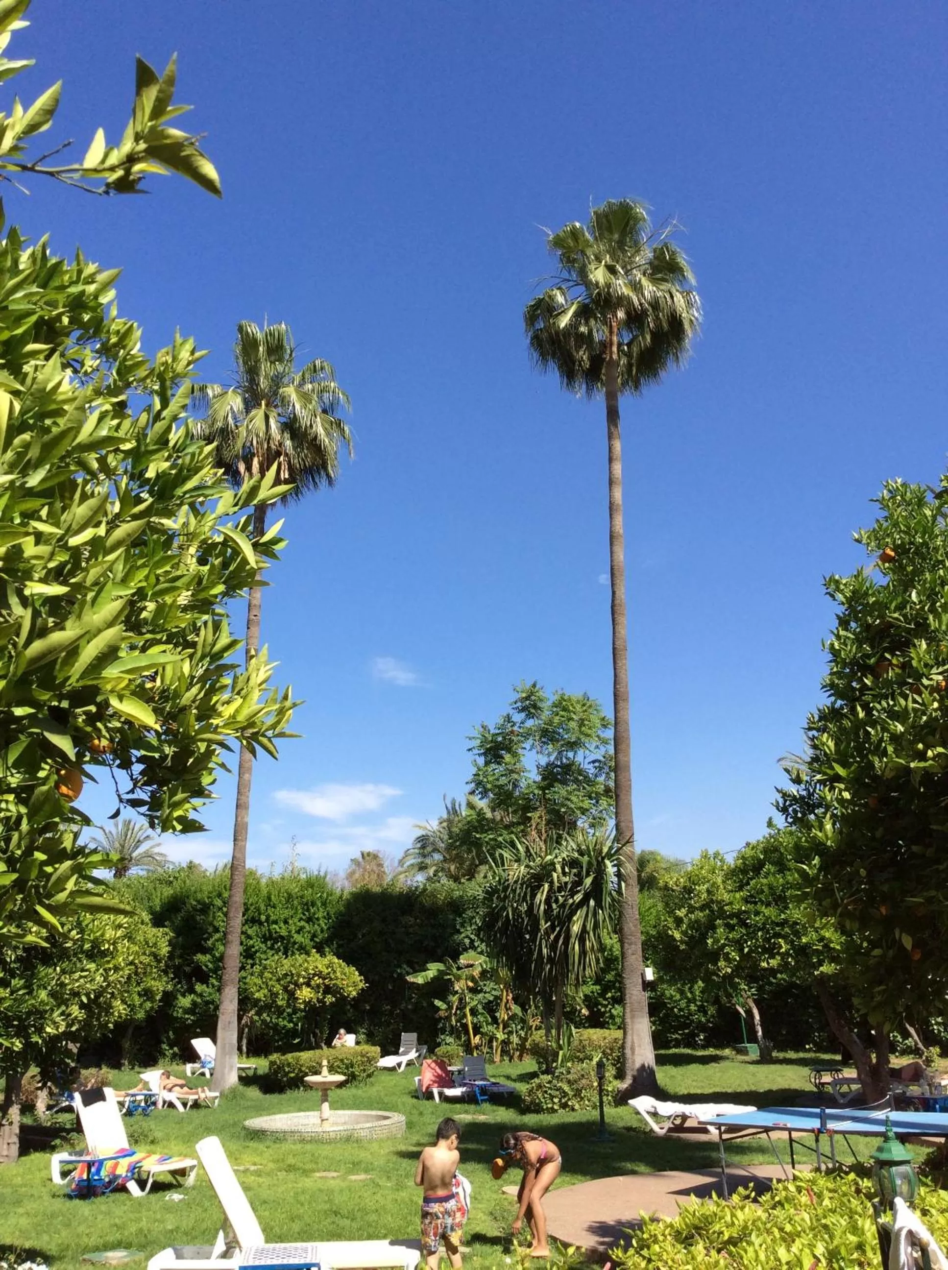 Garden in Chems Hotel