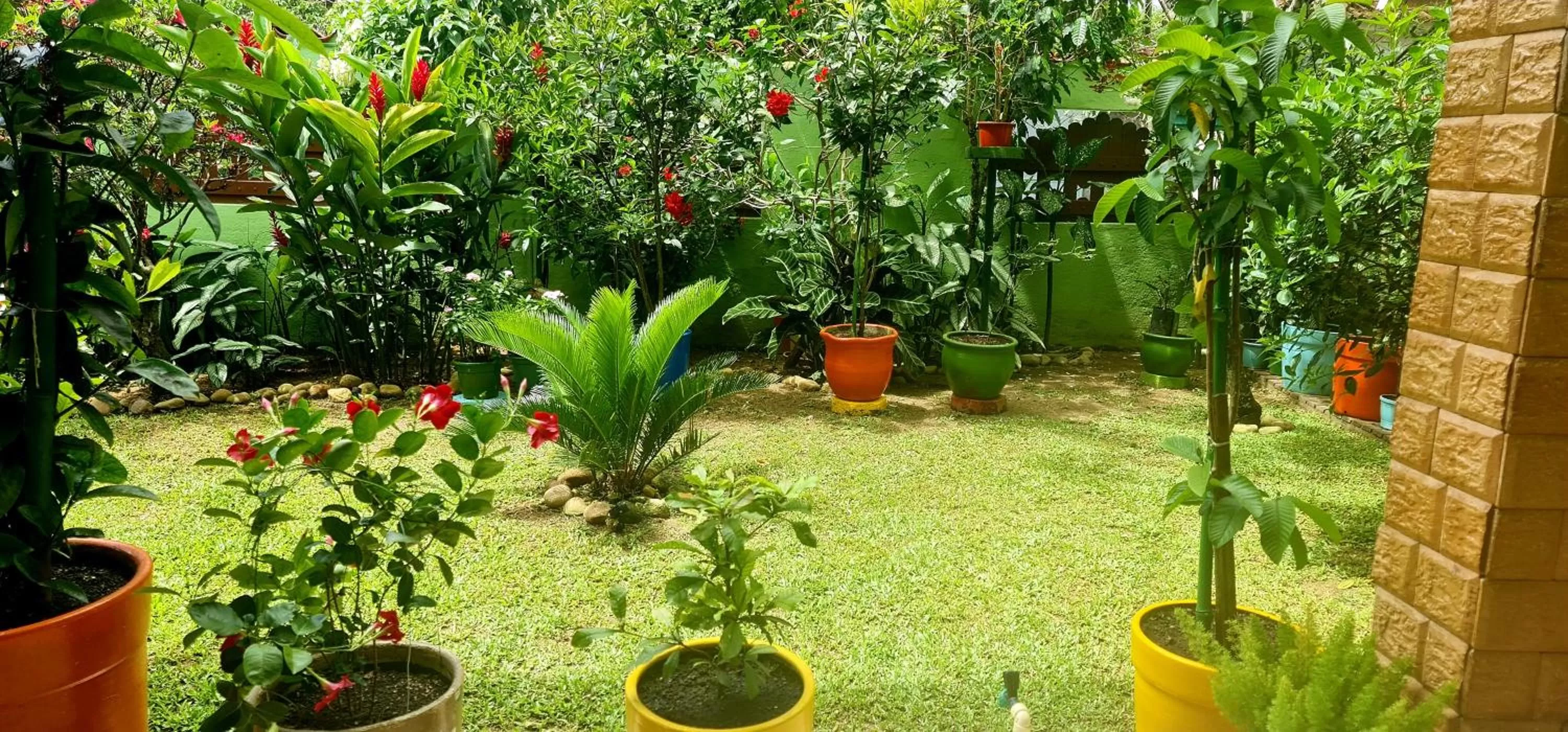 Garden view in Pousada Flor de Paraty