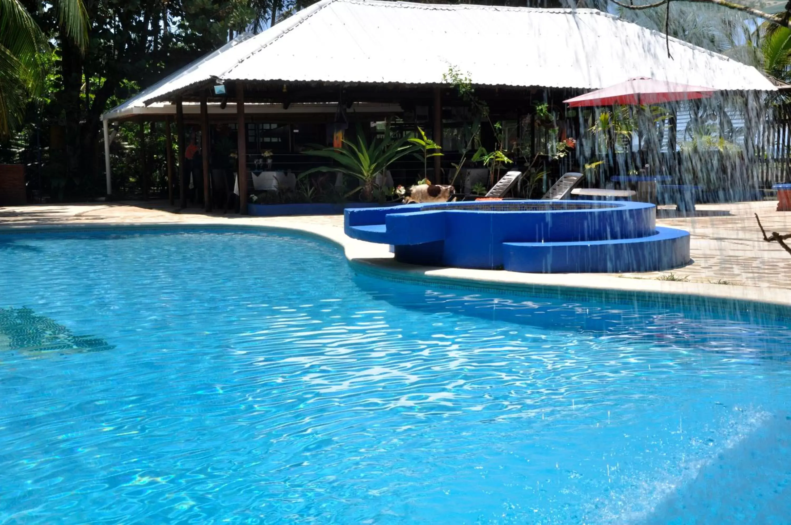 Day, Swimming Pool in Hotel Playa Westfalia