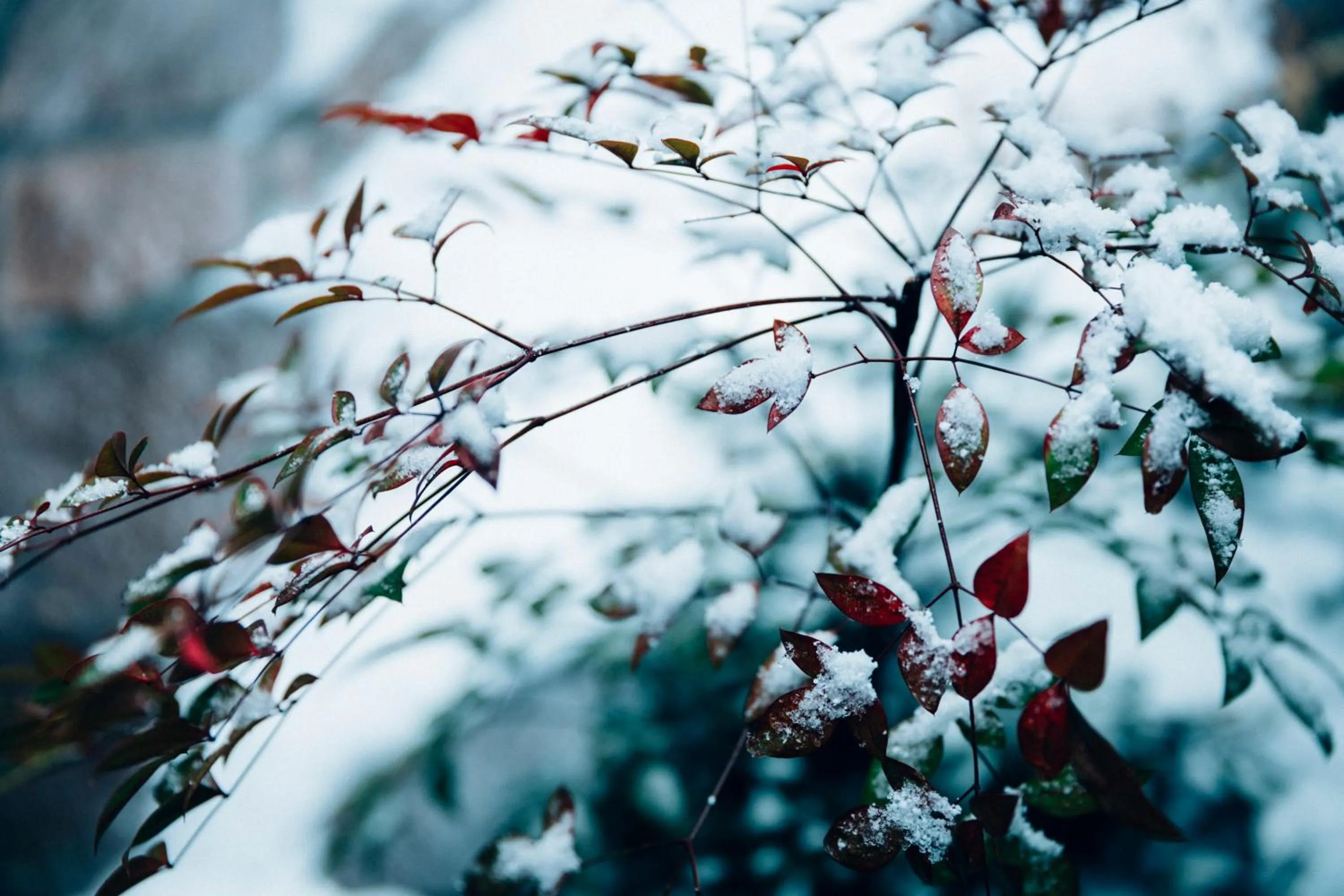 Nearby landmark in Hatori