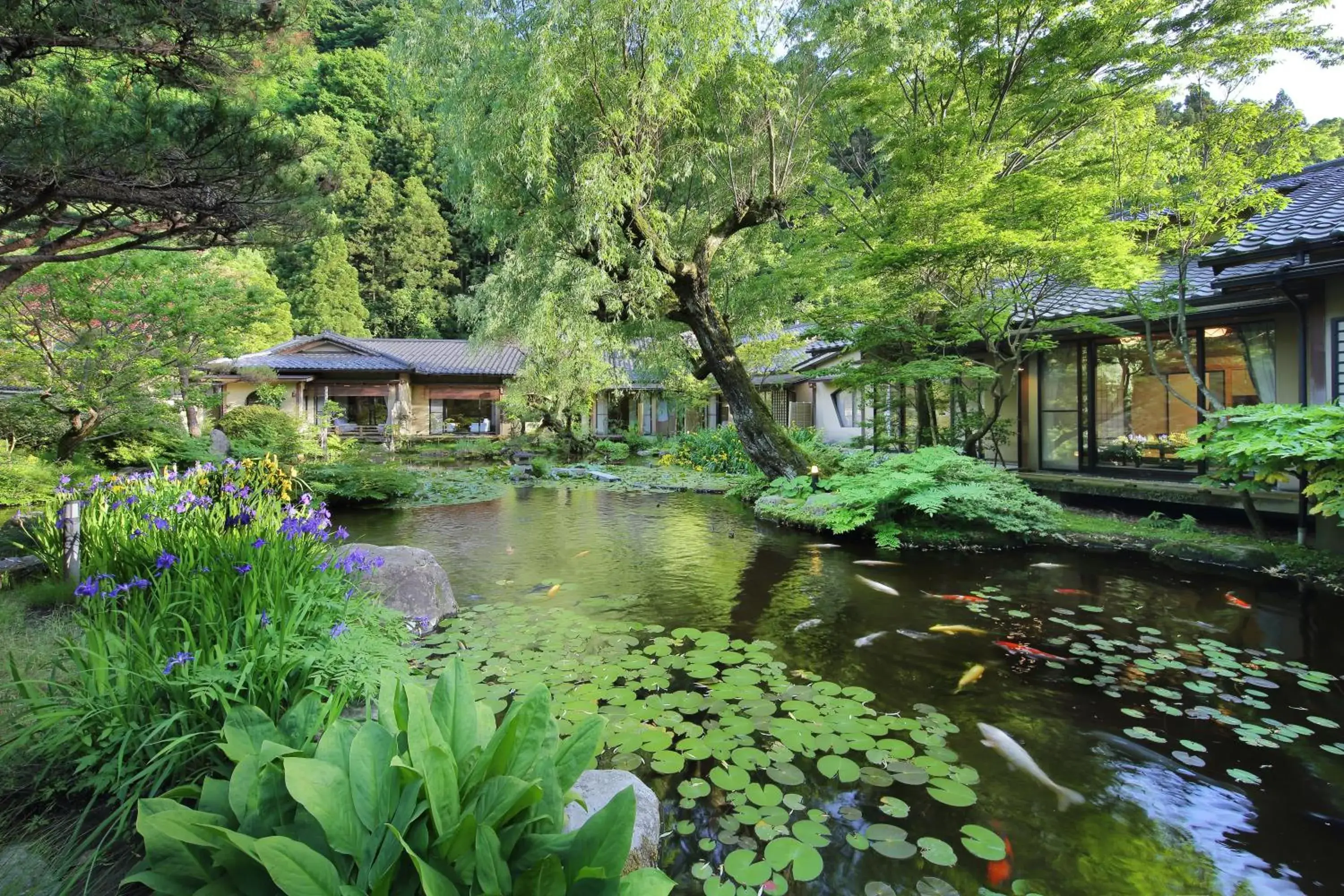 Garden in Ryokan Tachibanaya