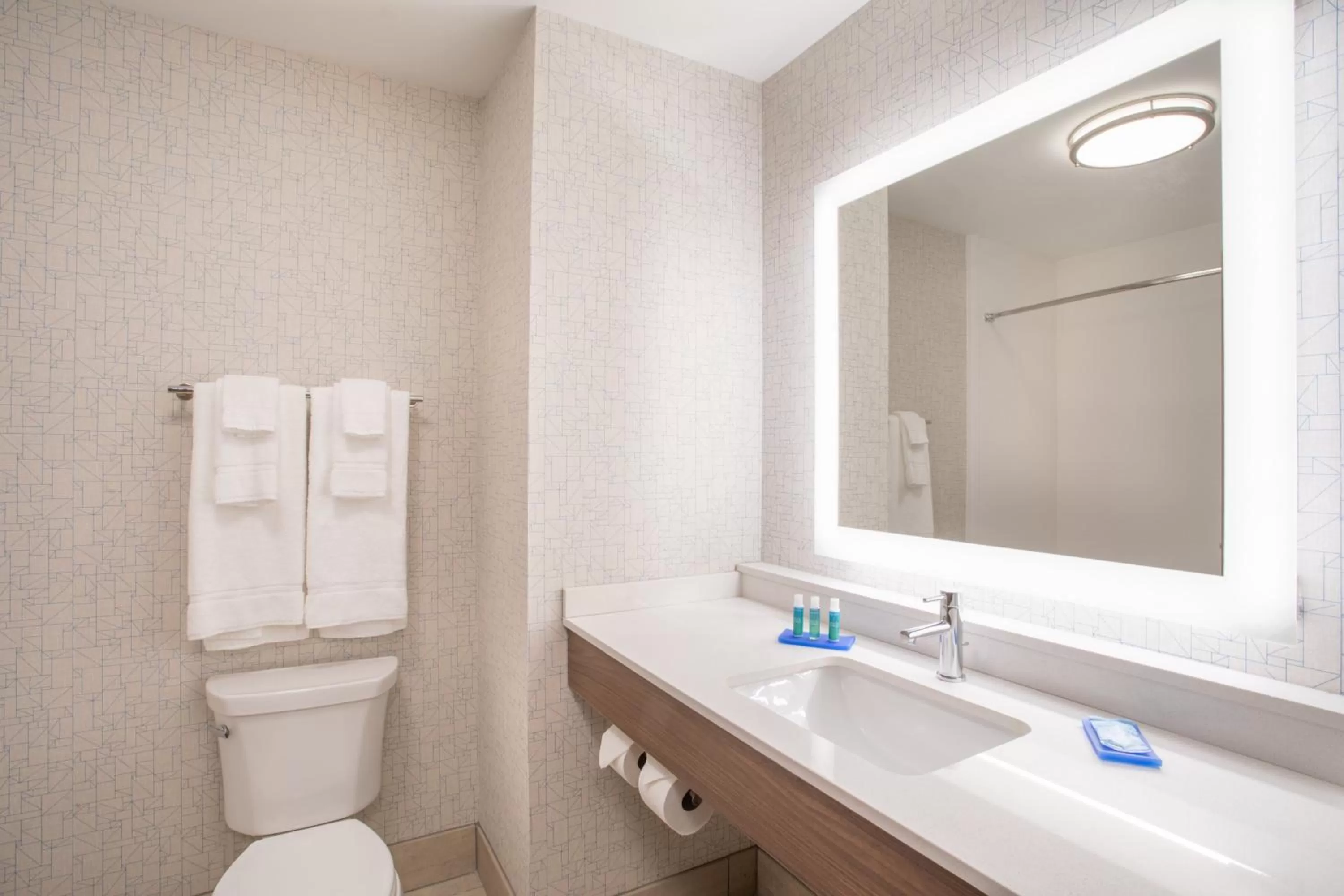 Bathroom in Holiday Inn Express & Suites Owings Mills-Baltimore Area by IHG