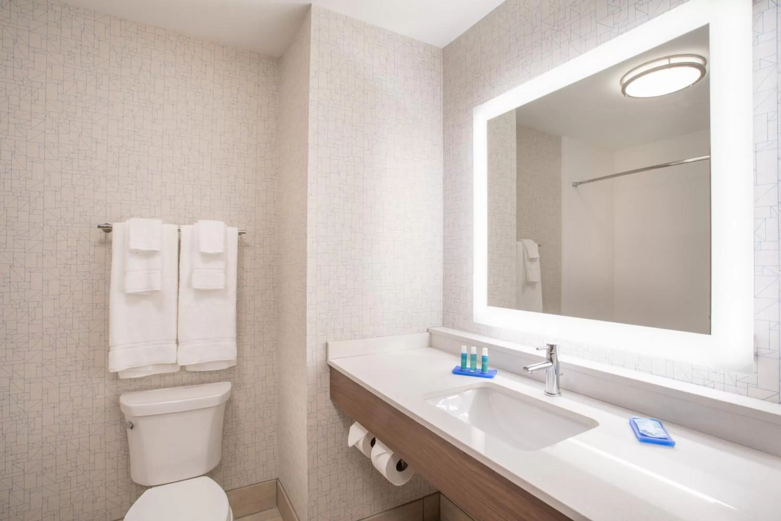 Bathroom in Holiday Inn Express & Suites Owings Mills-Baltimore Area, an IHG Hotel