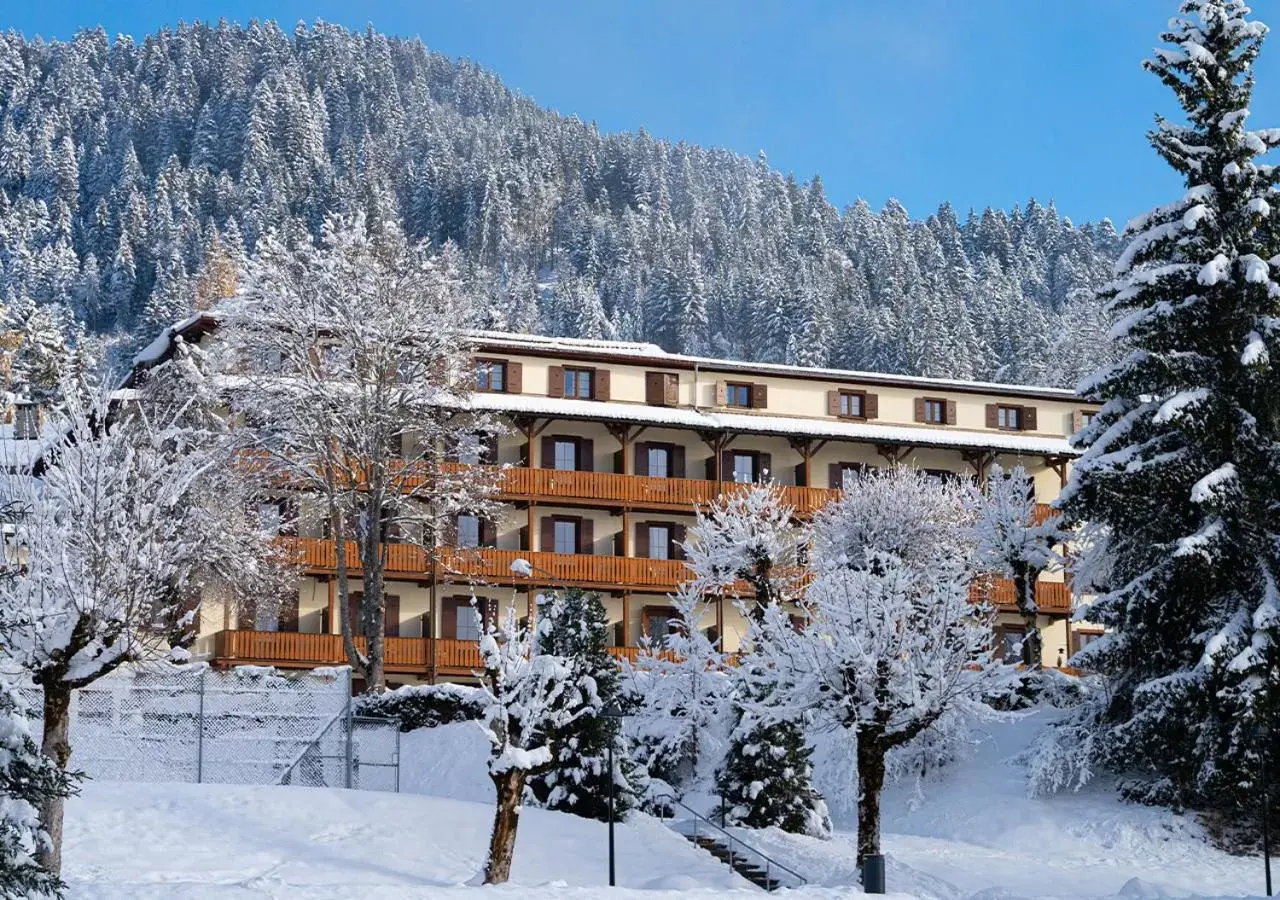 Property building, Winter in Villars Lodge